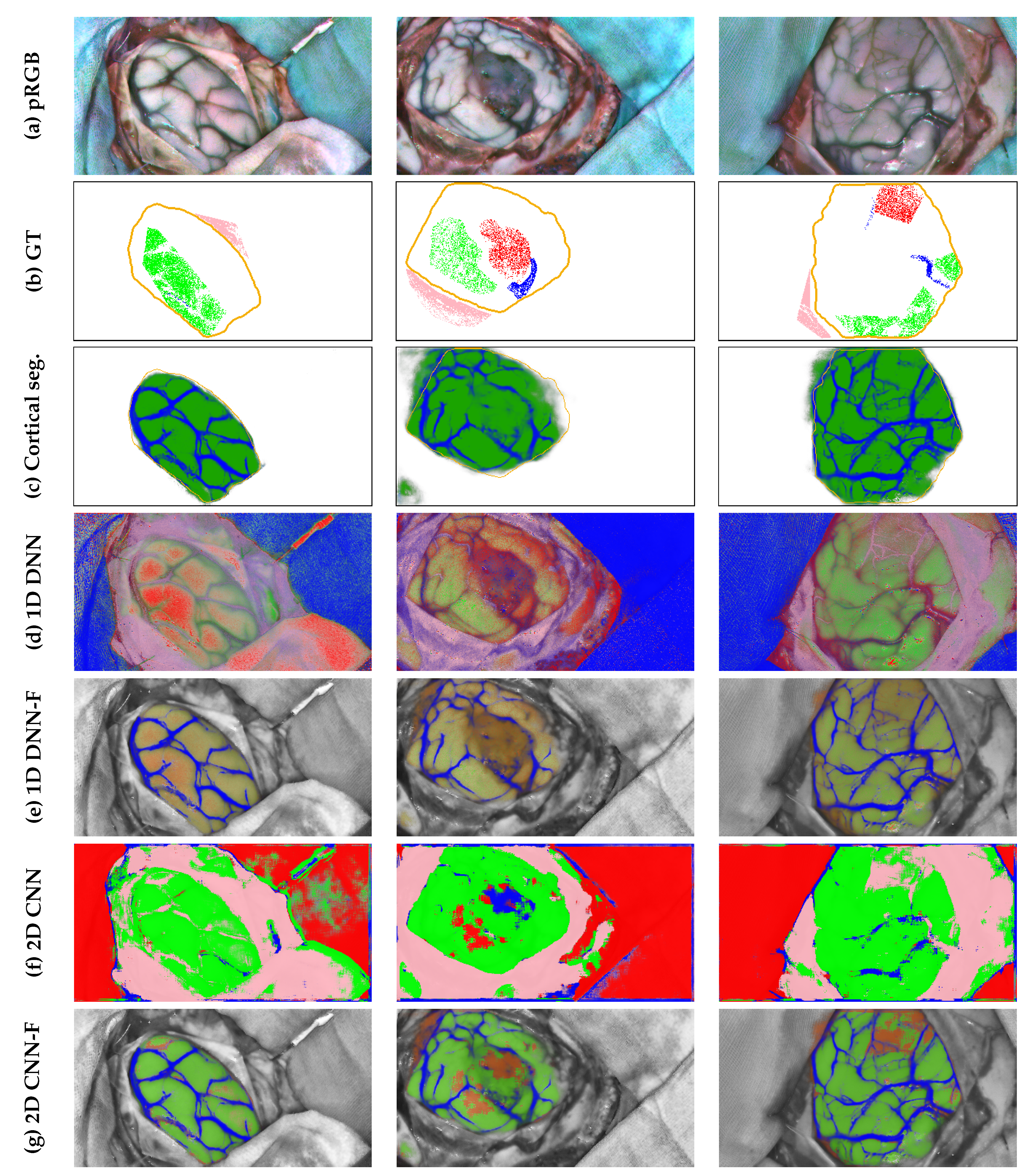 Preprints 197914 g010