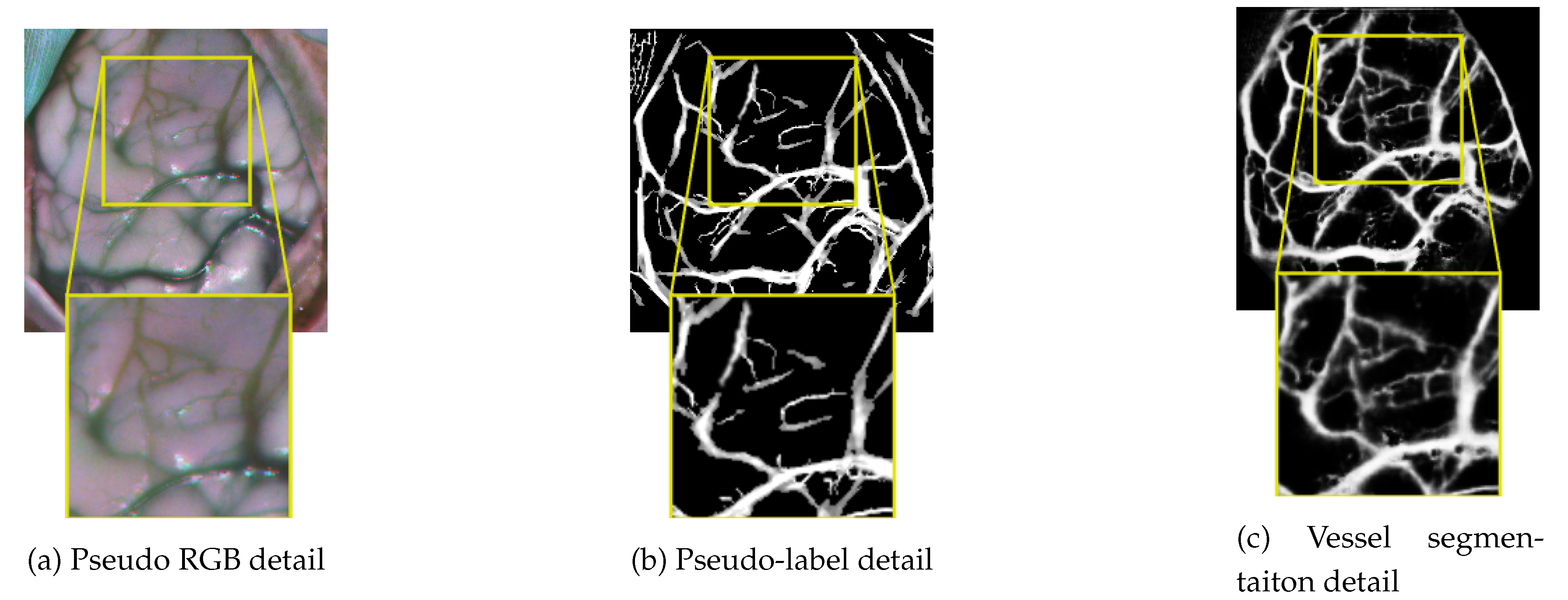 Preprints 197914 g011