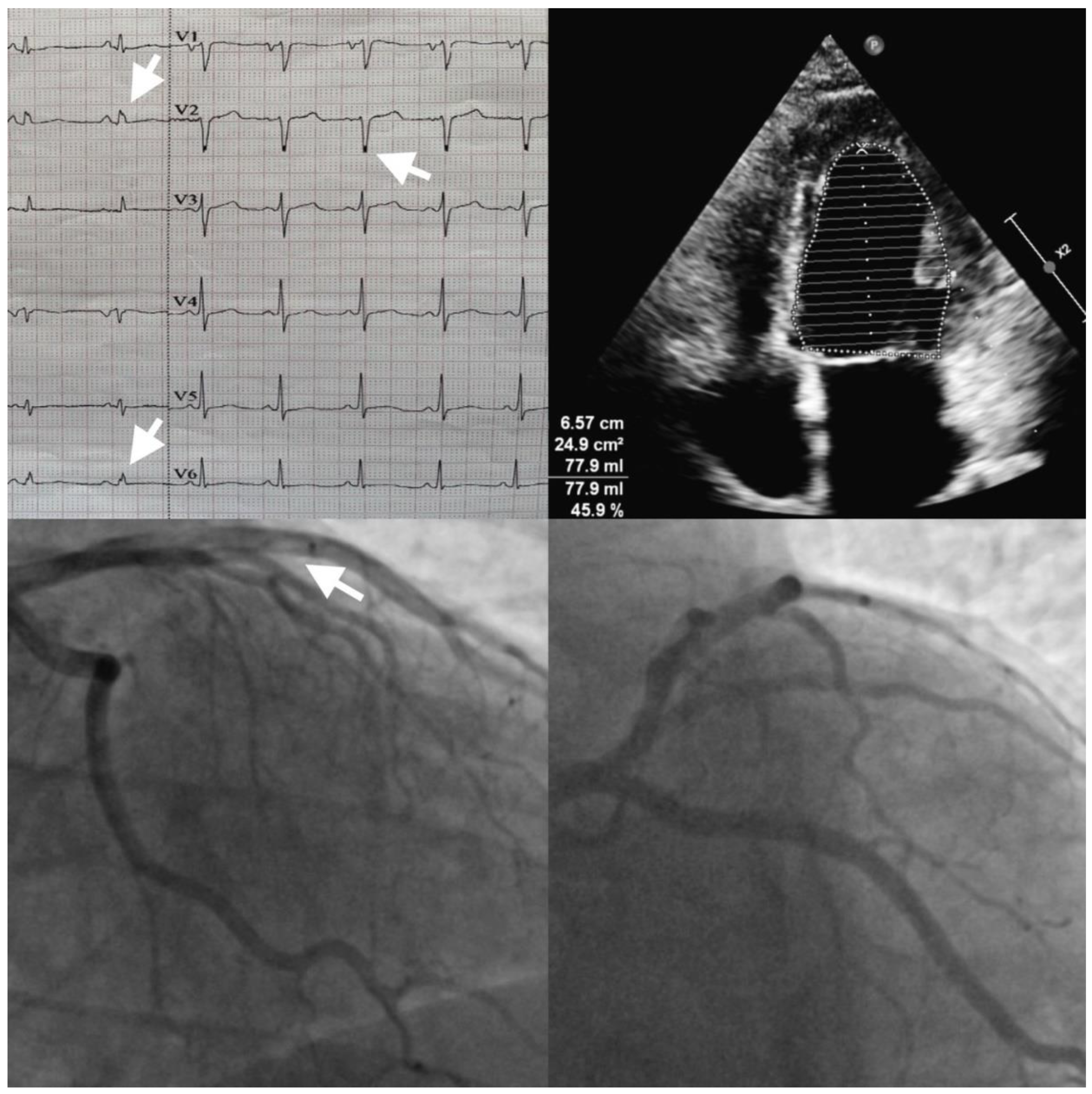 Preprints 94513 g001