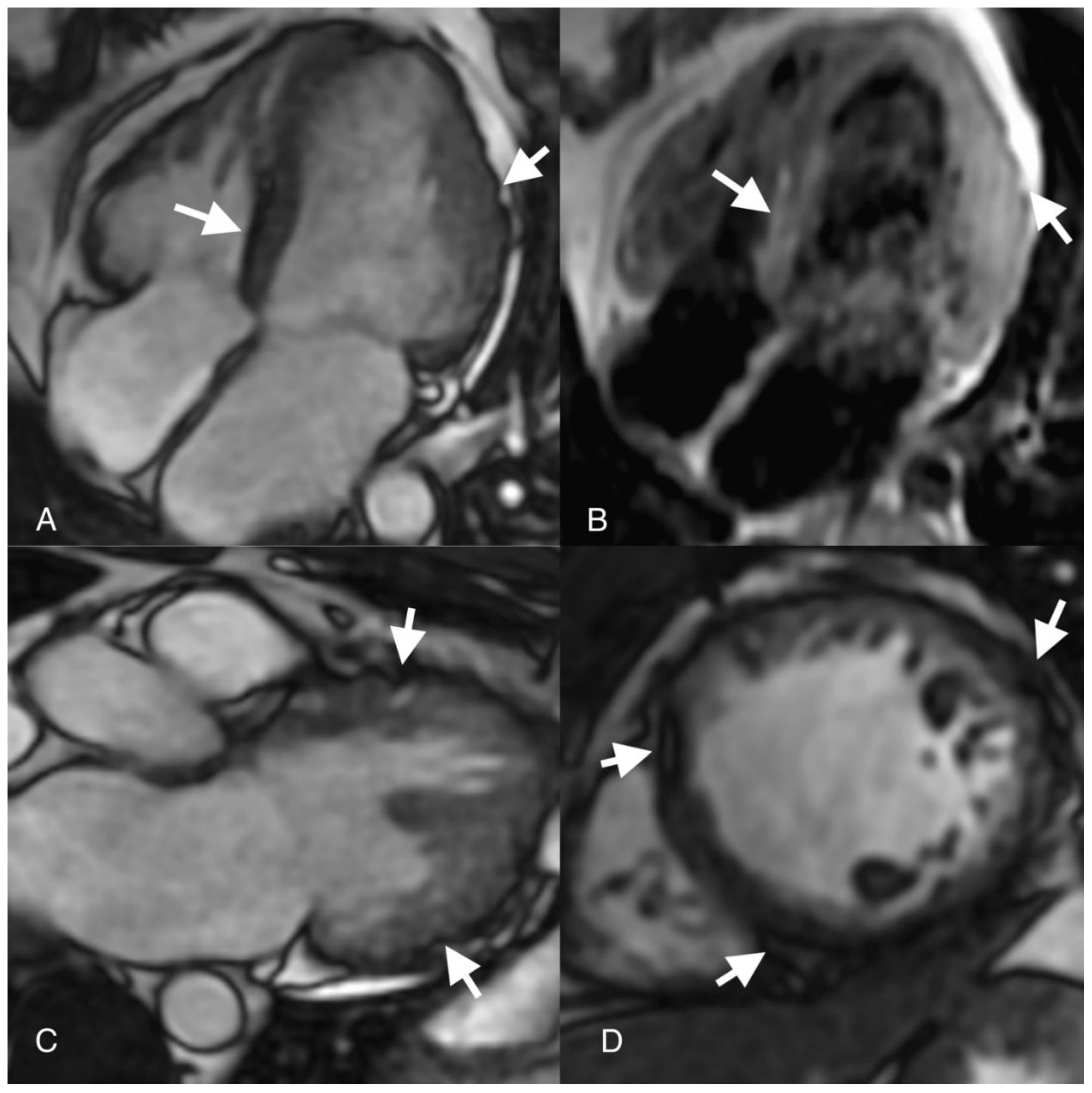Preprints 94513 g002