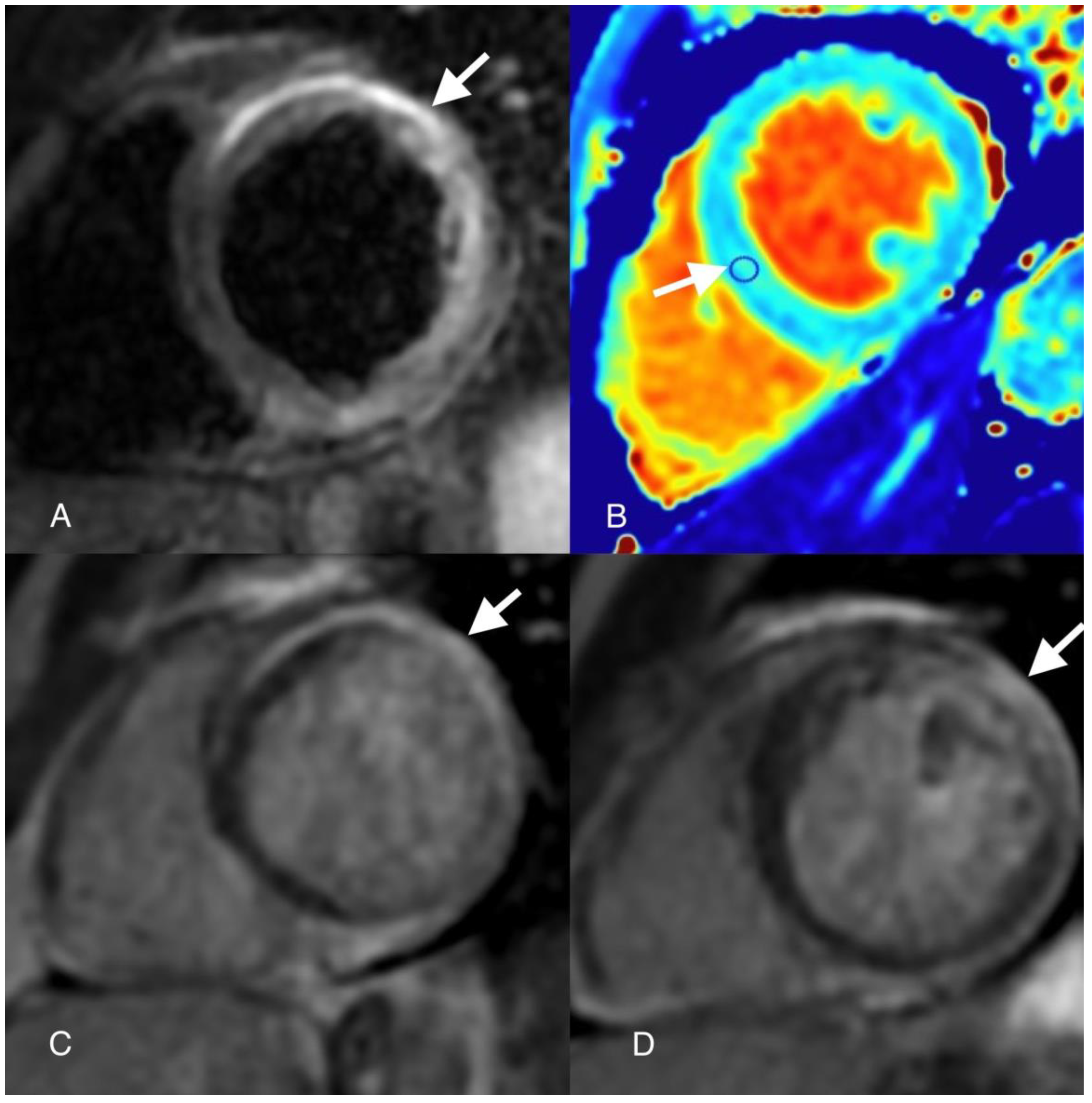 Preprints 94513 g003
