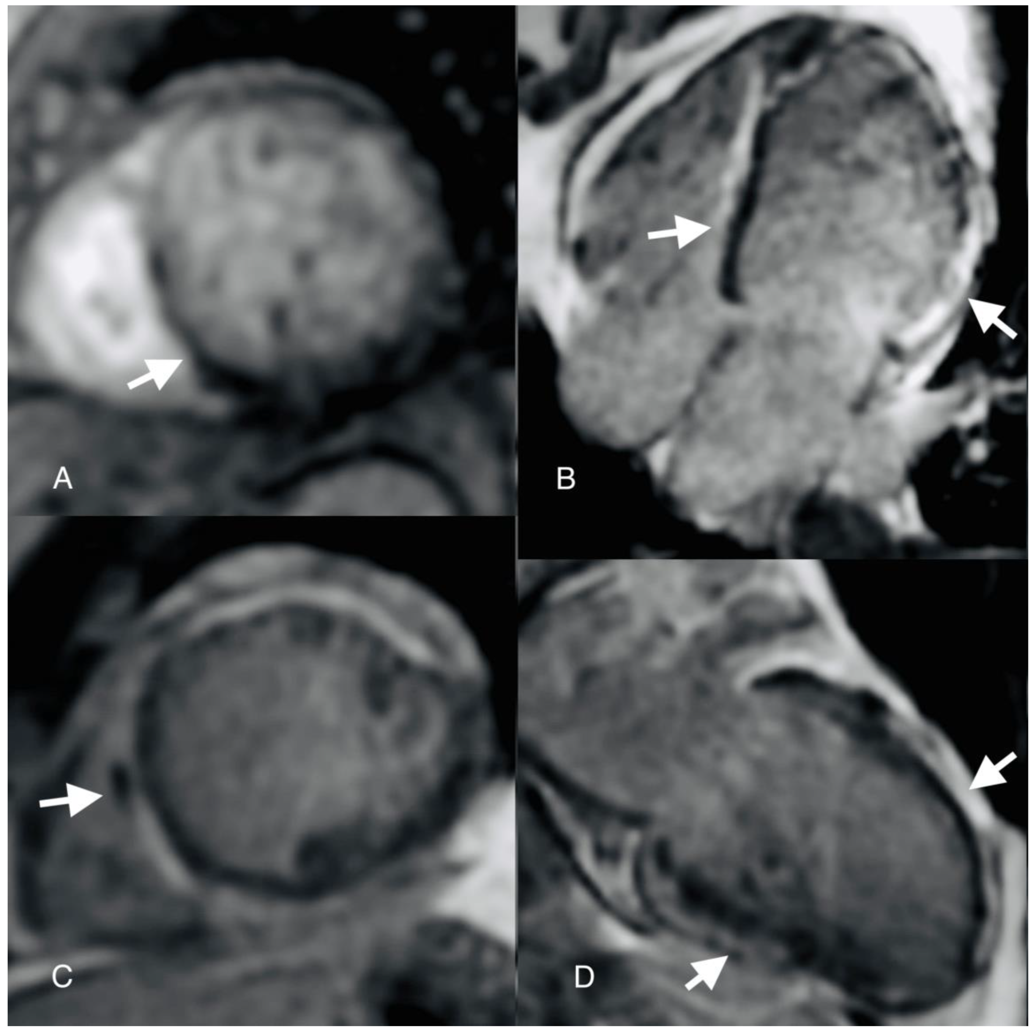 Preprints 94513 g004