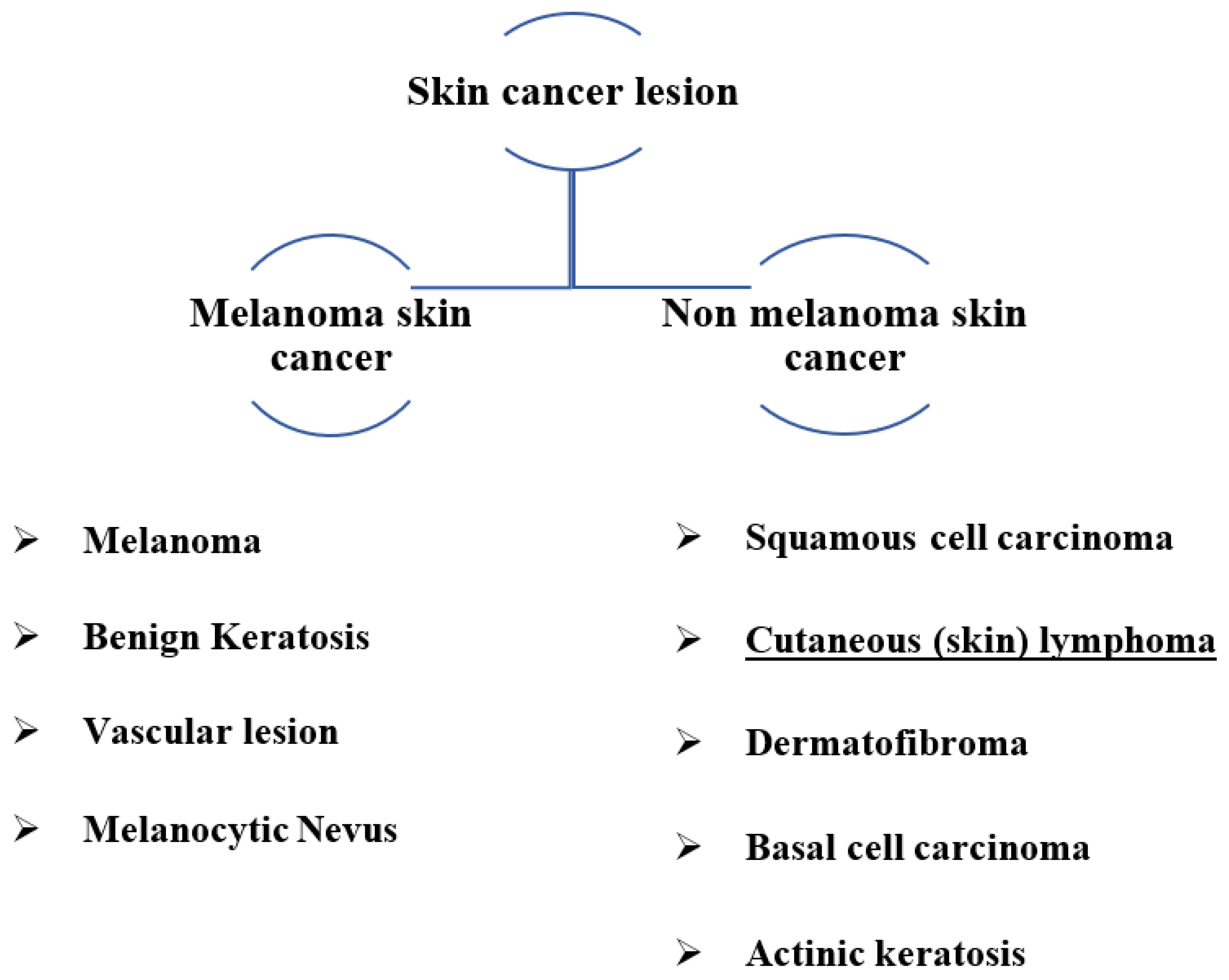 Preprints 80629 g001