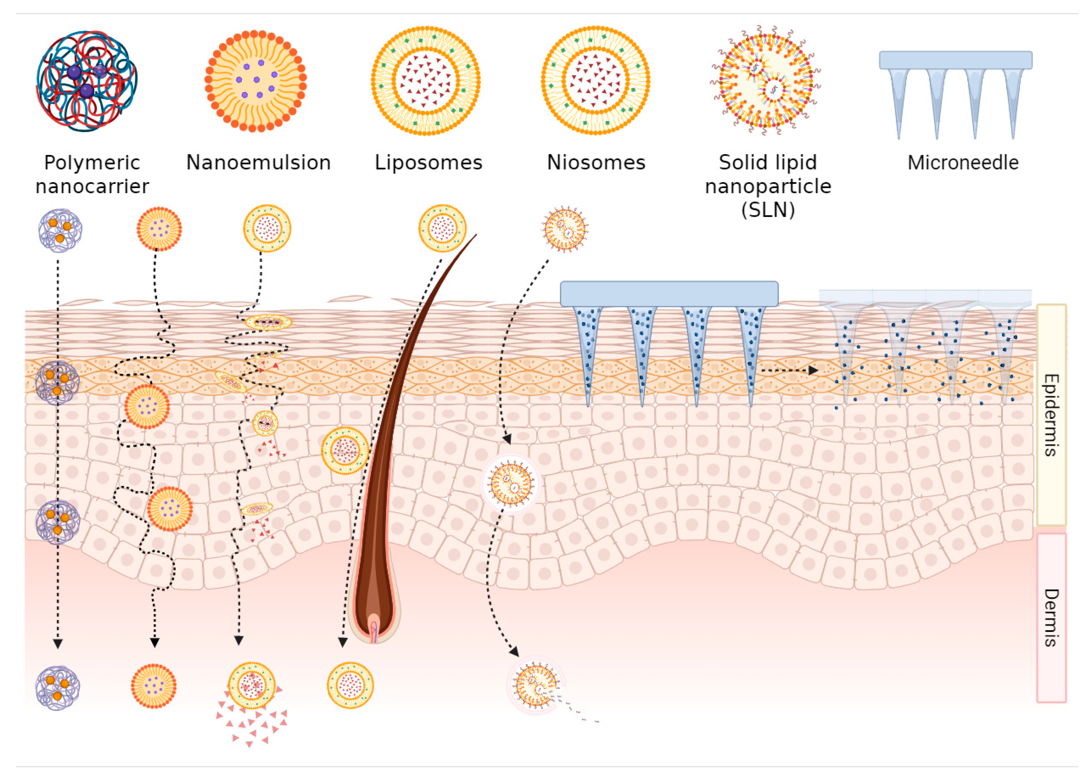 Preprints 173748 g002