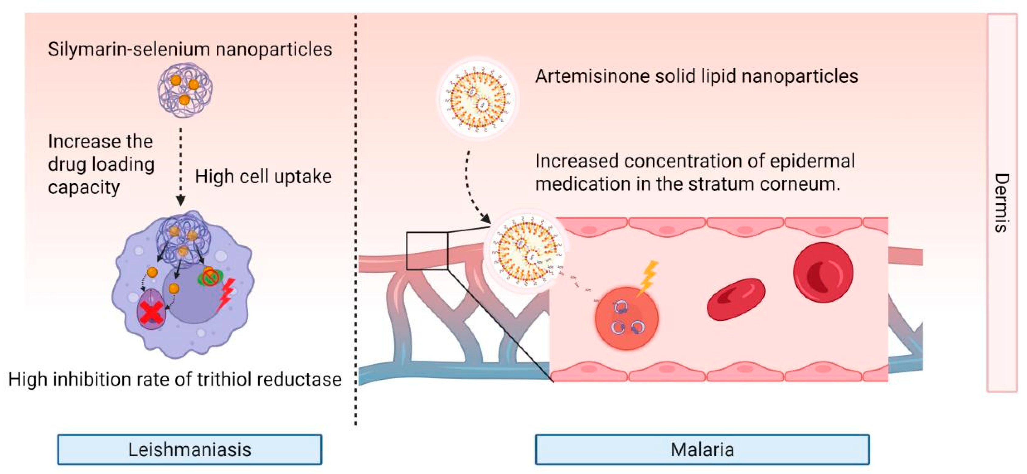 Preprints 173748 g003