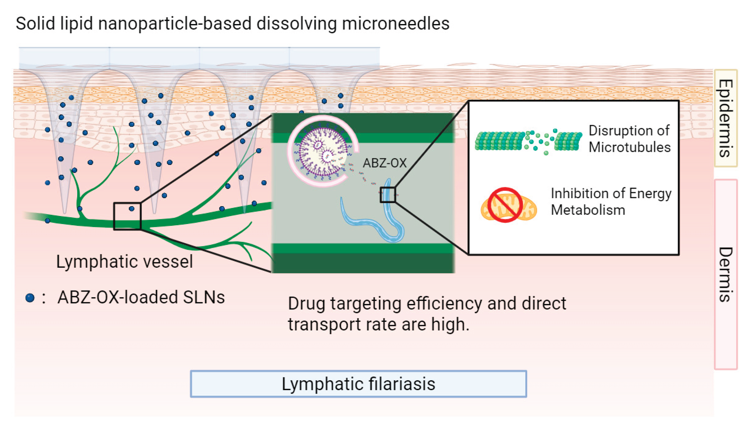 Preprints 173748 g005