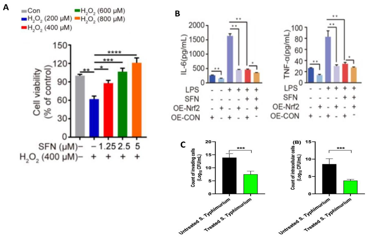 Preprints 211071 g007