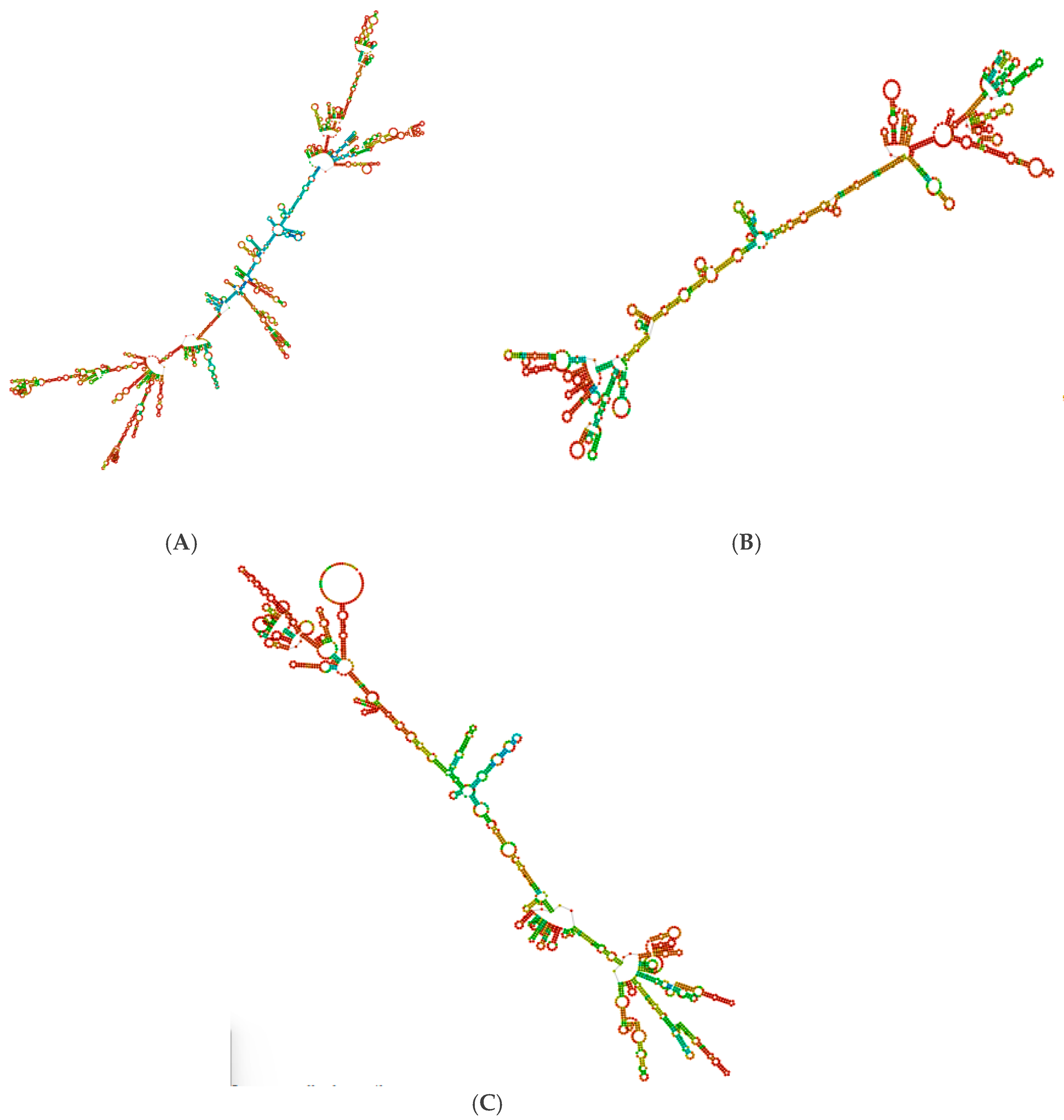 Preprints 143782 g004