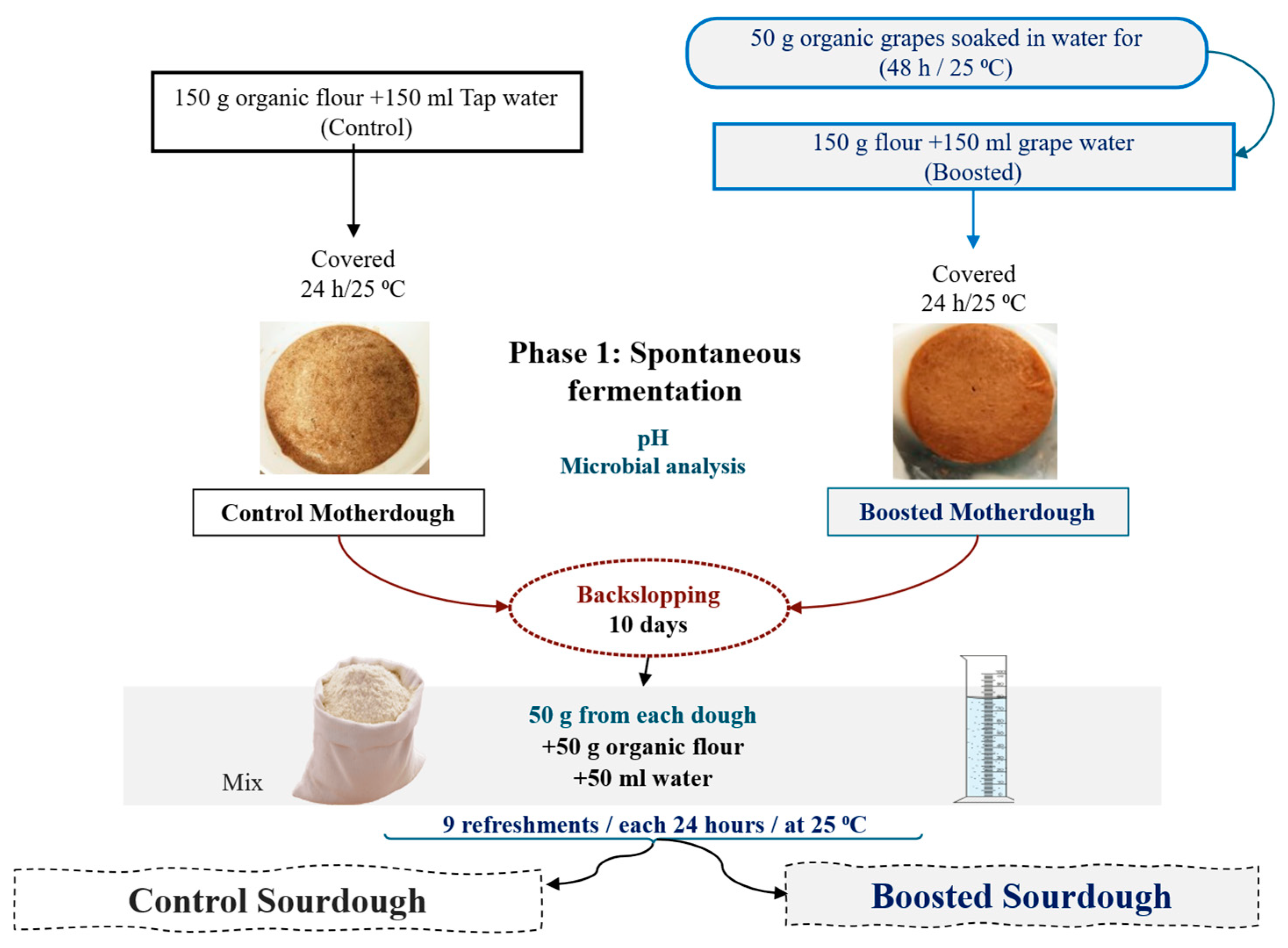 Preprints 169731 g001