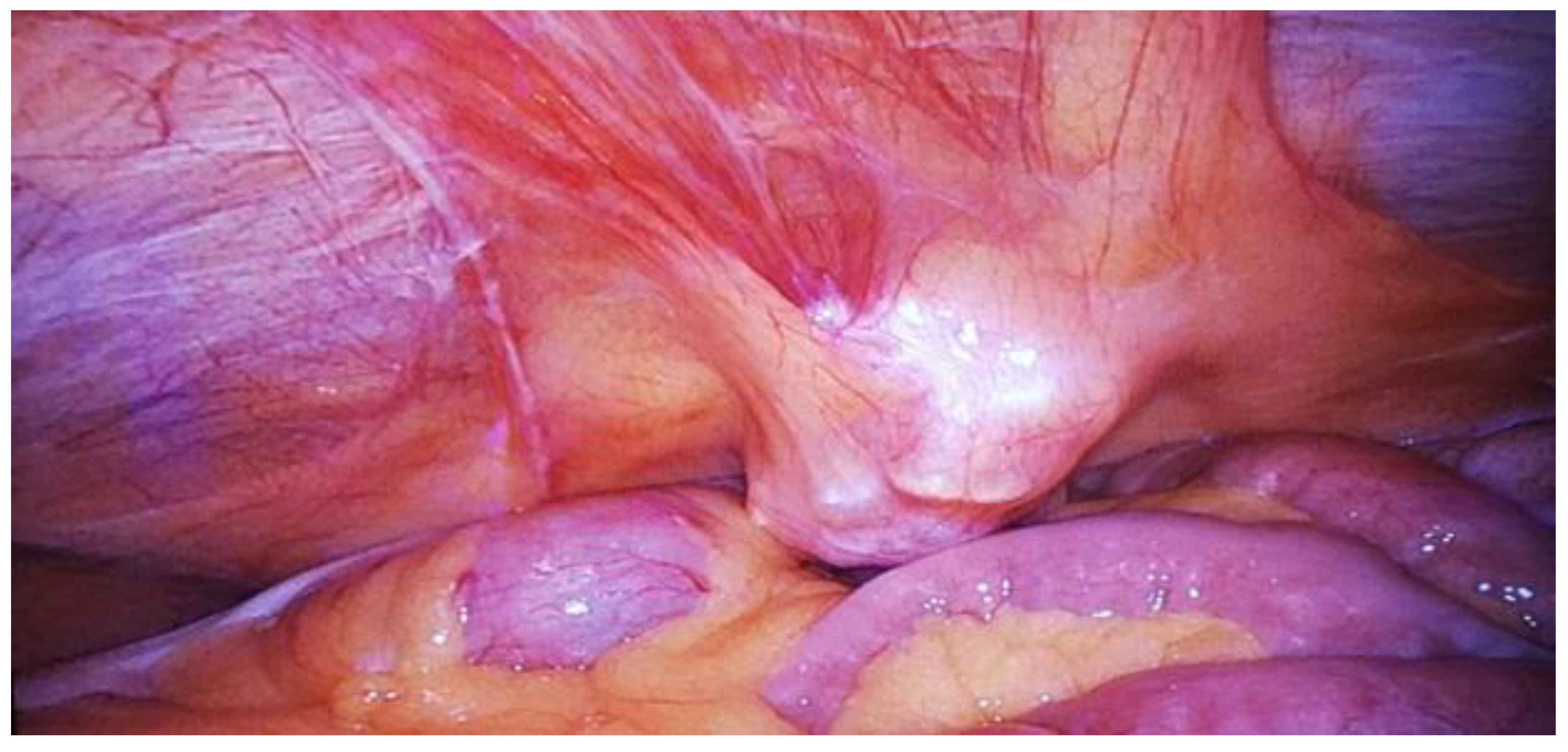 Preprints 146094 g001