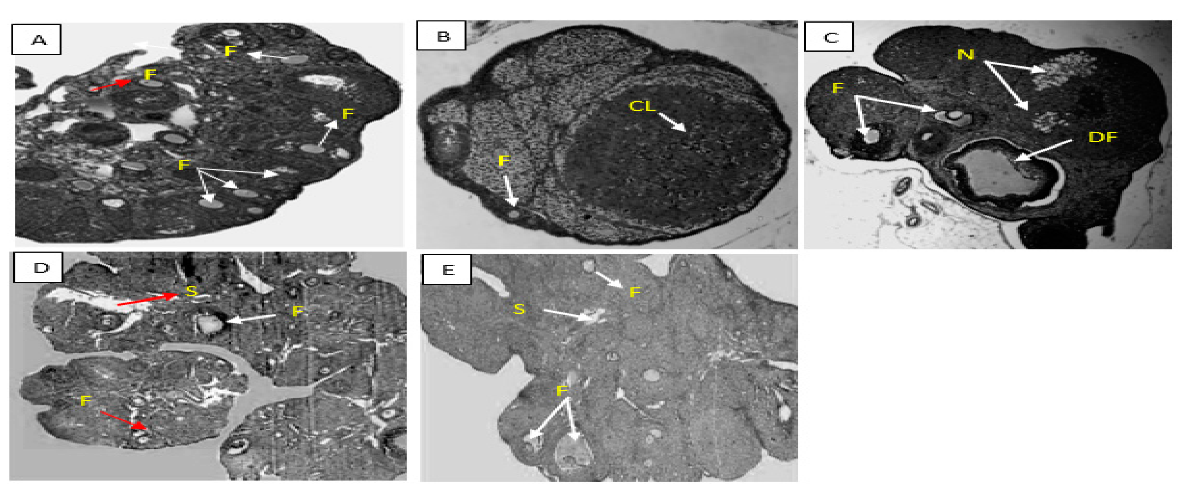 Preprints 115196 g001