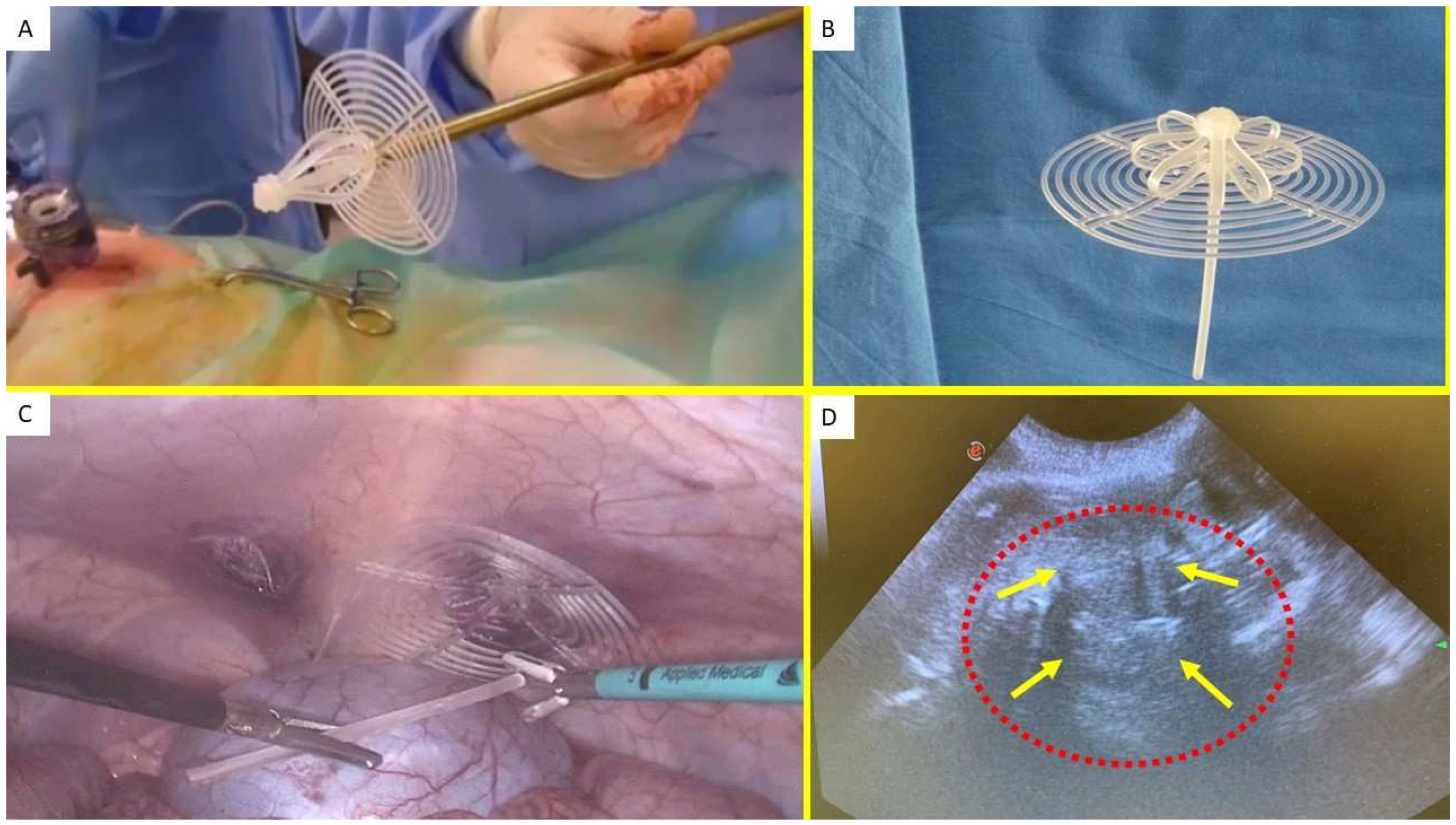 Preprints 144372 g001