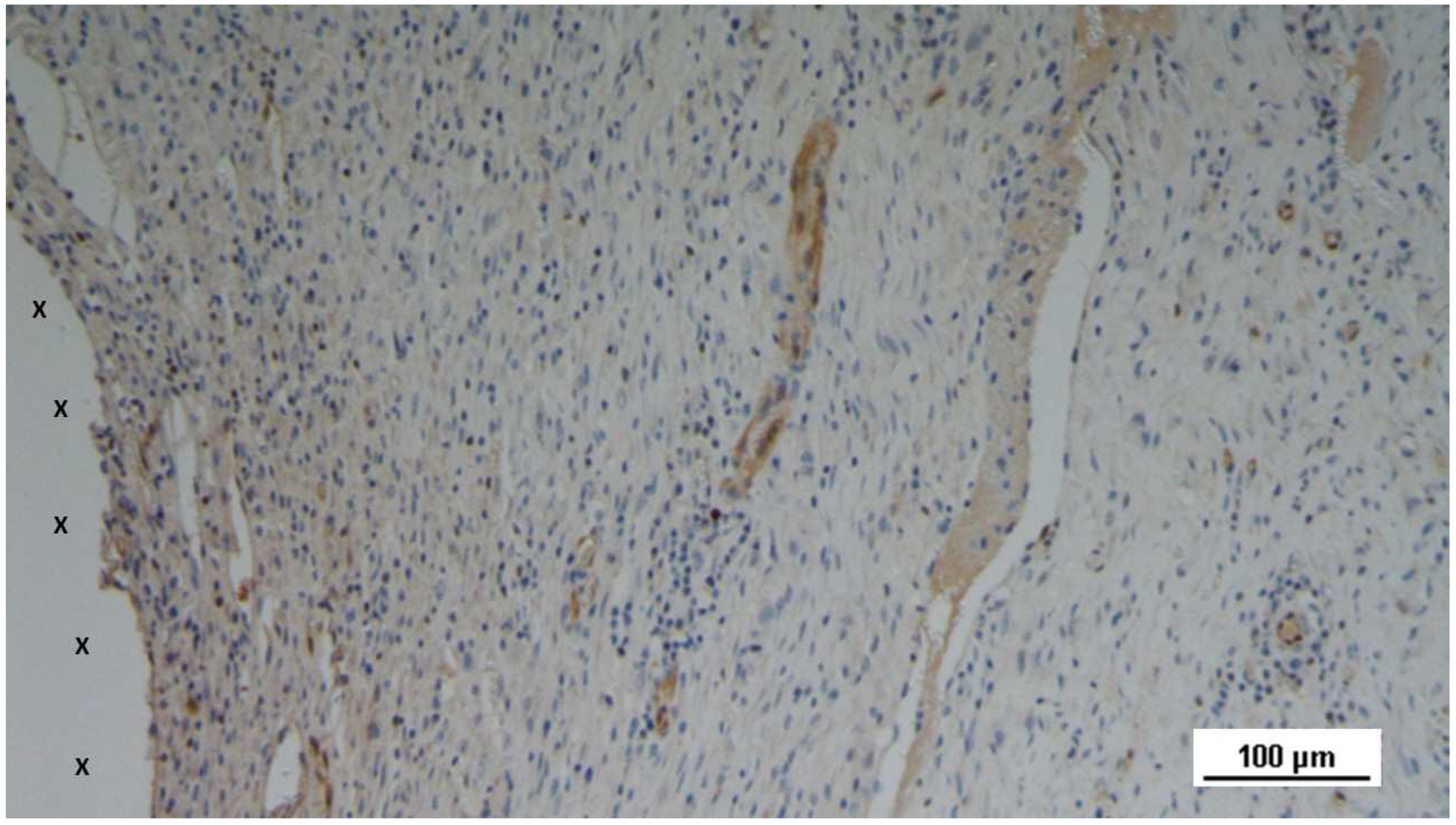 Preprints 144372 g005