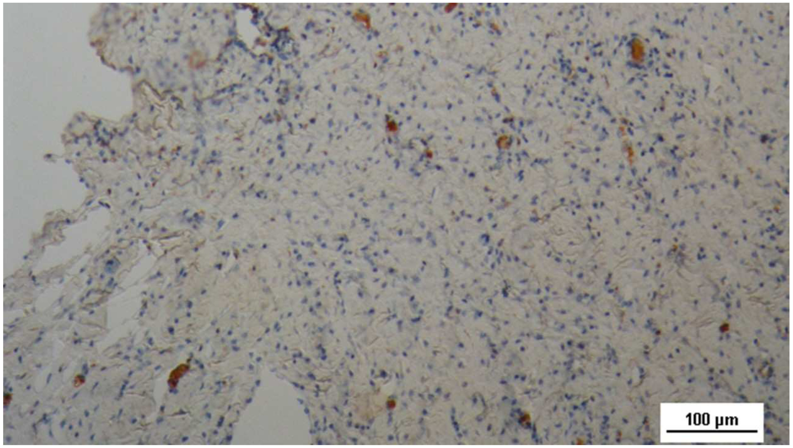 Preprints 144372 g006