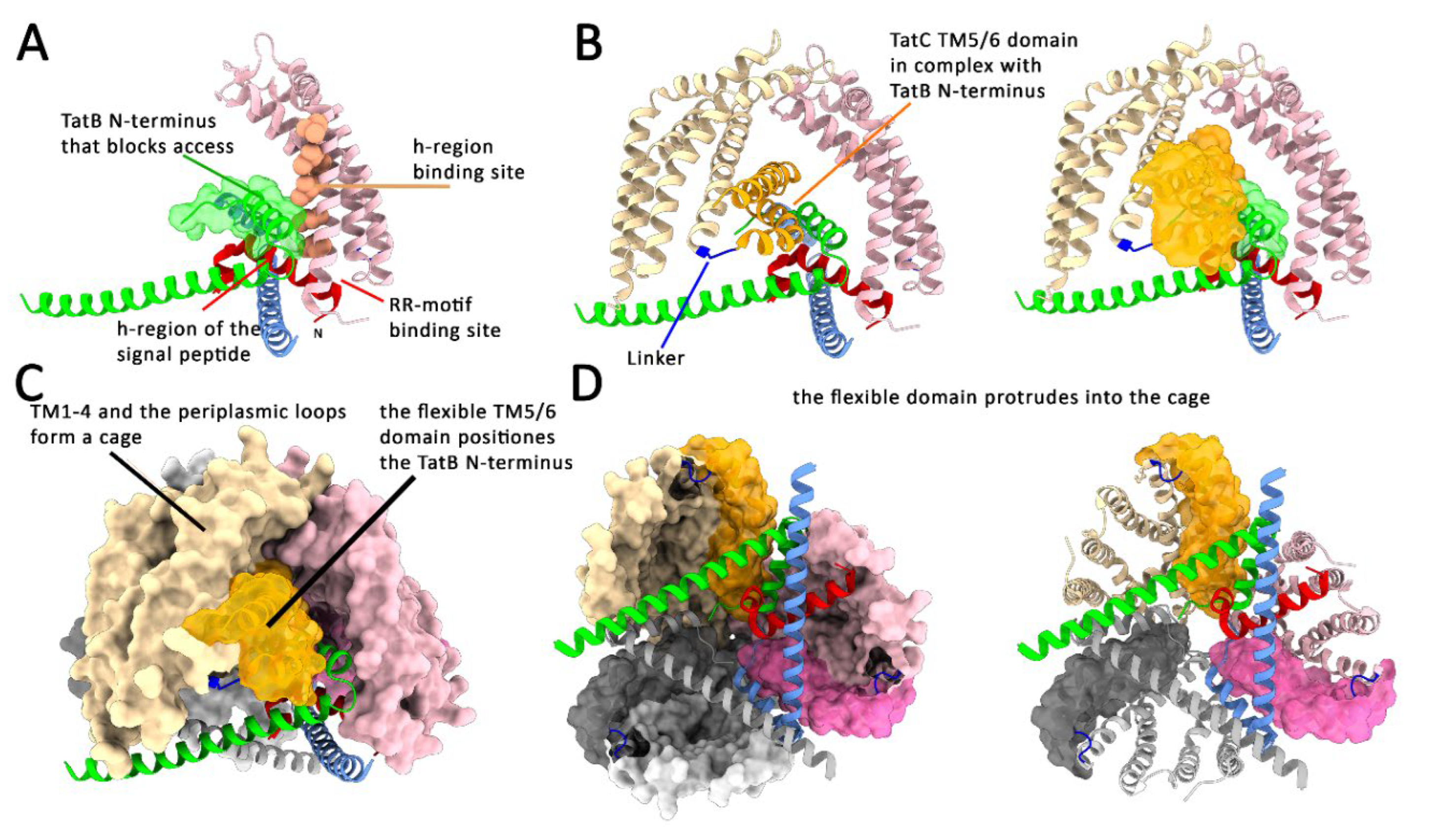 Preprints 192744 g002