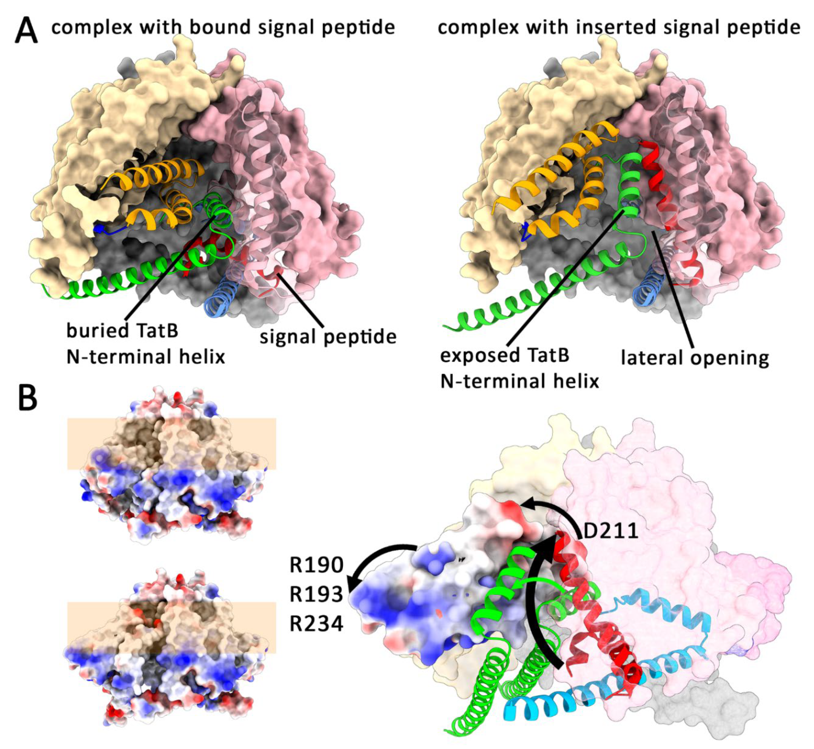 Preprints 192744 g003