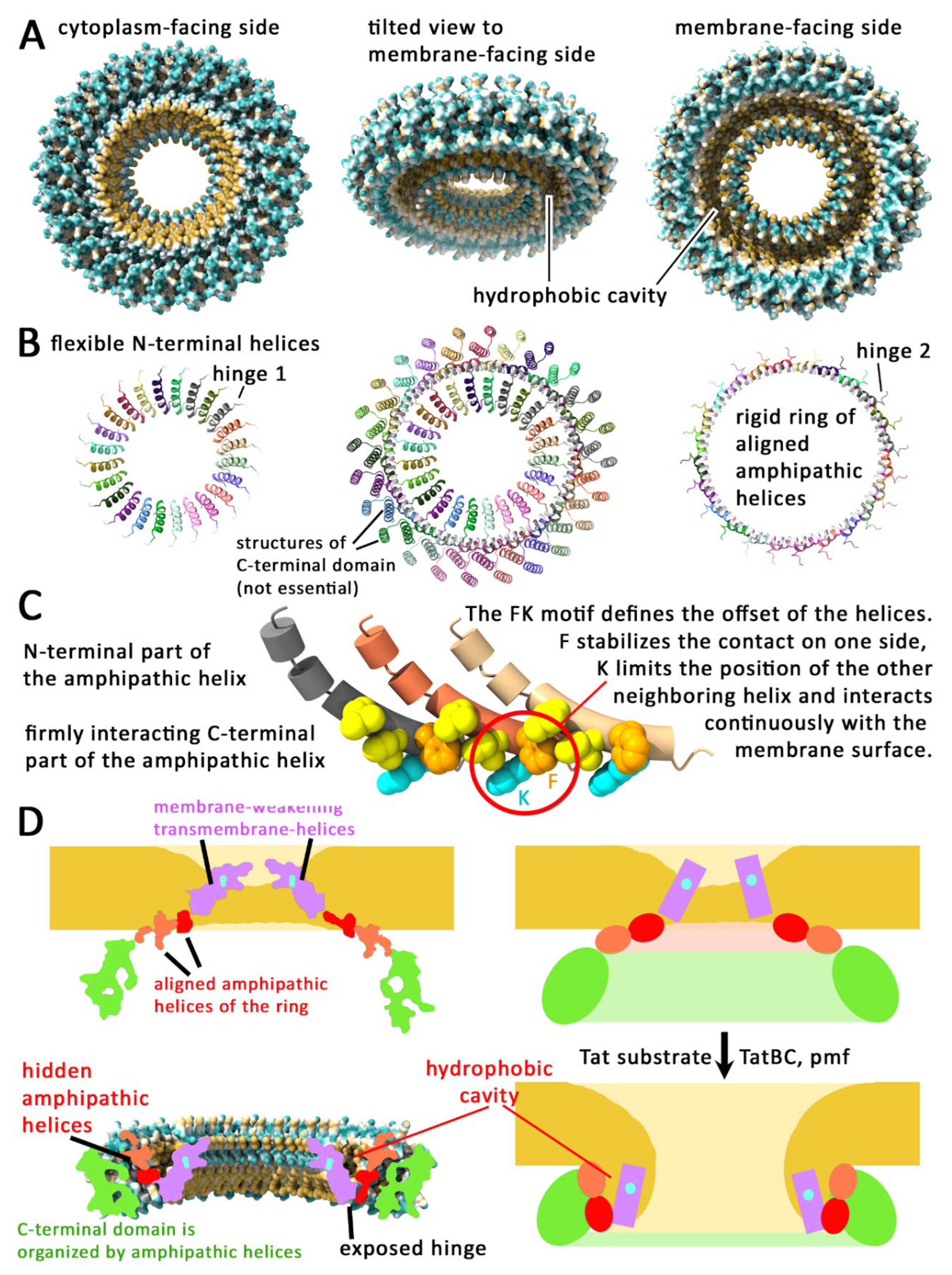 Preprints 192744 g004