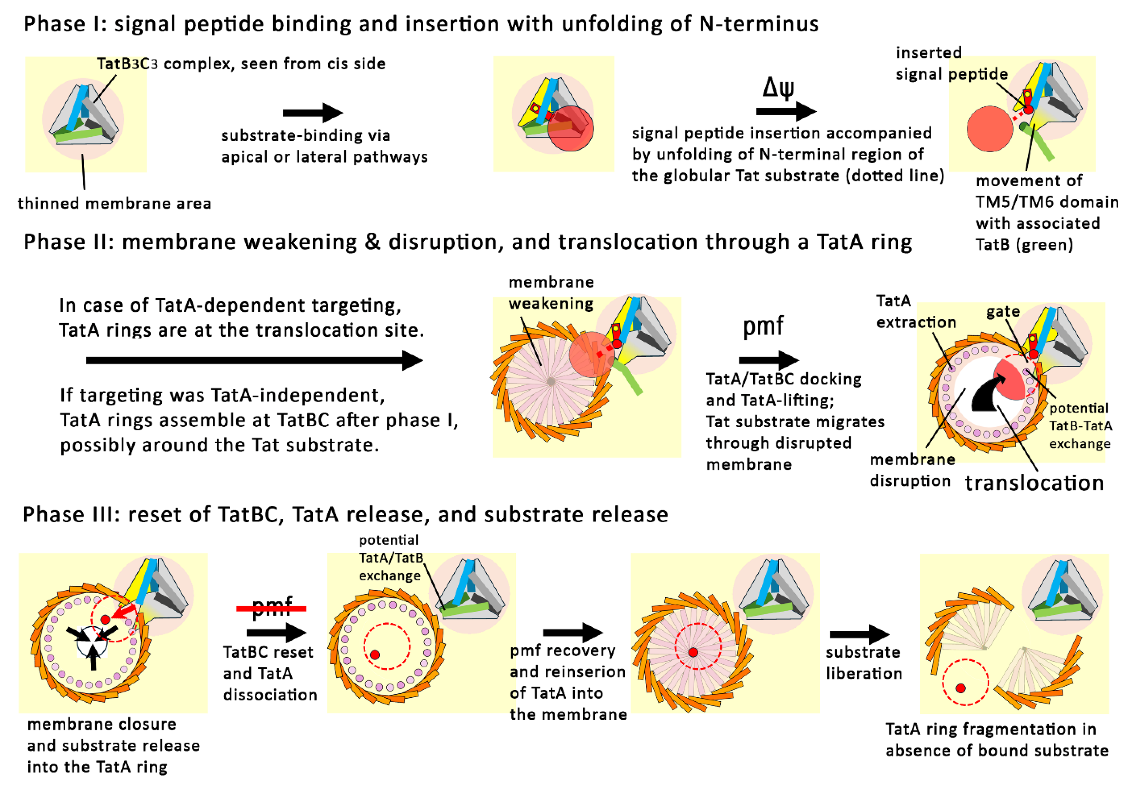 Preprints 192744 g005