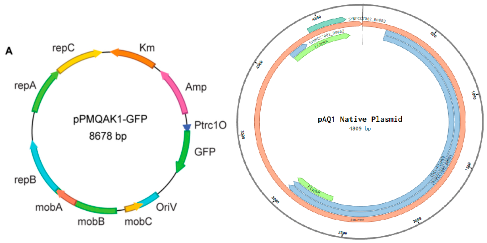 Preprints 220785 g003 Preprints 220785 g003