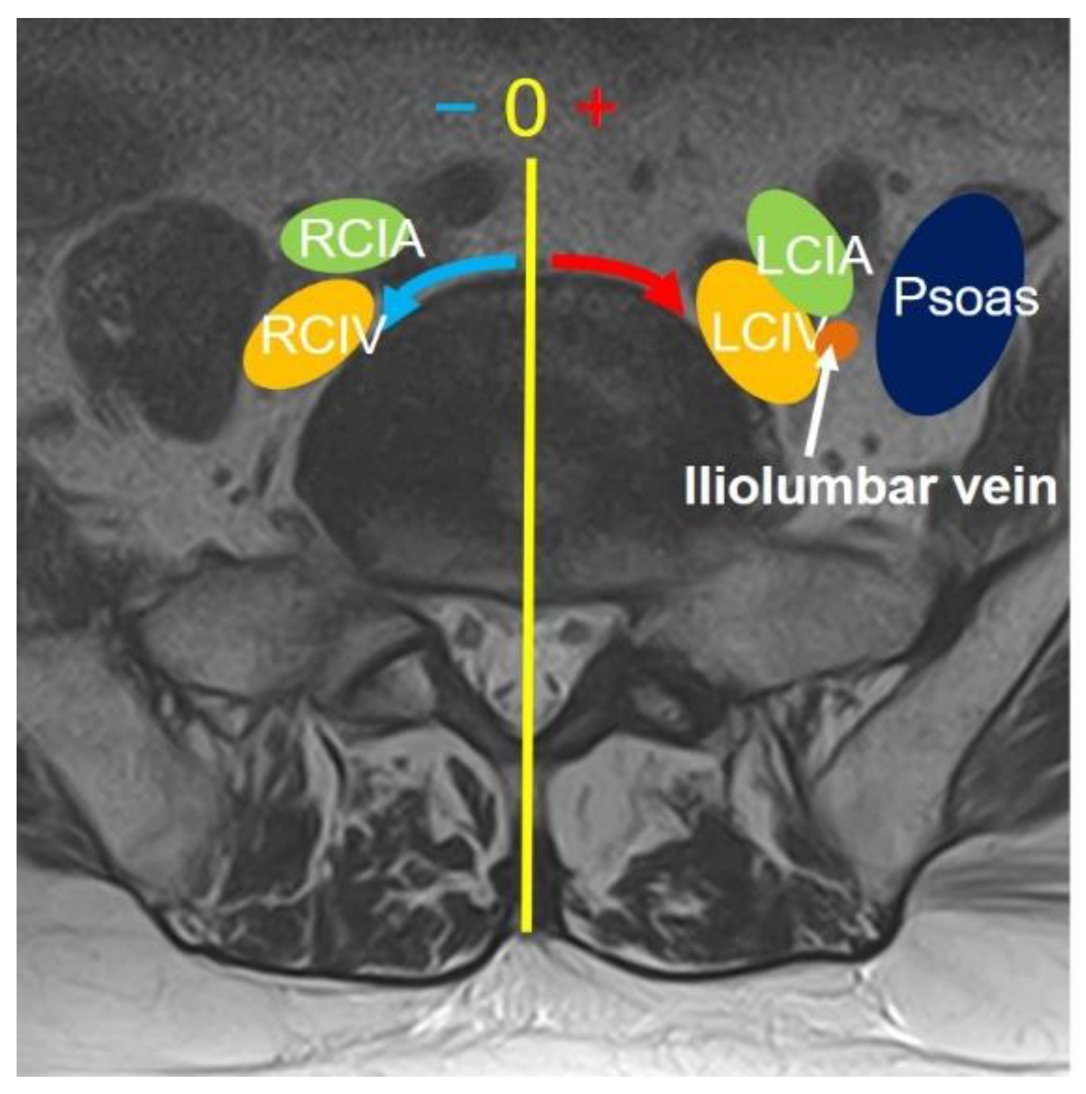 Preprints 96355 g002