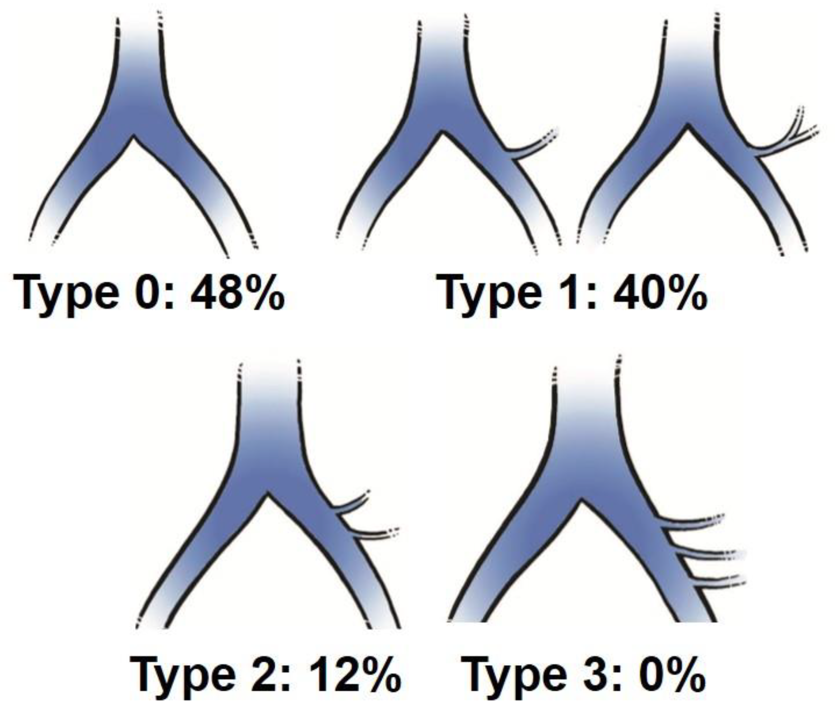 Preprints 96355 g005