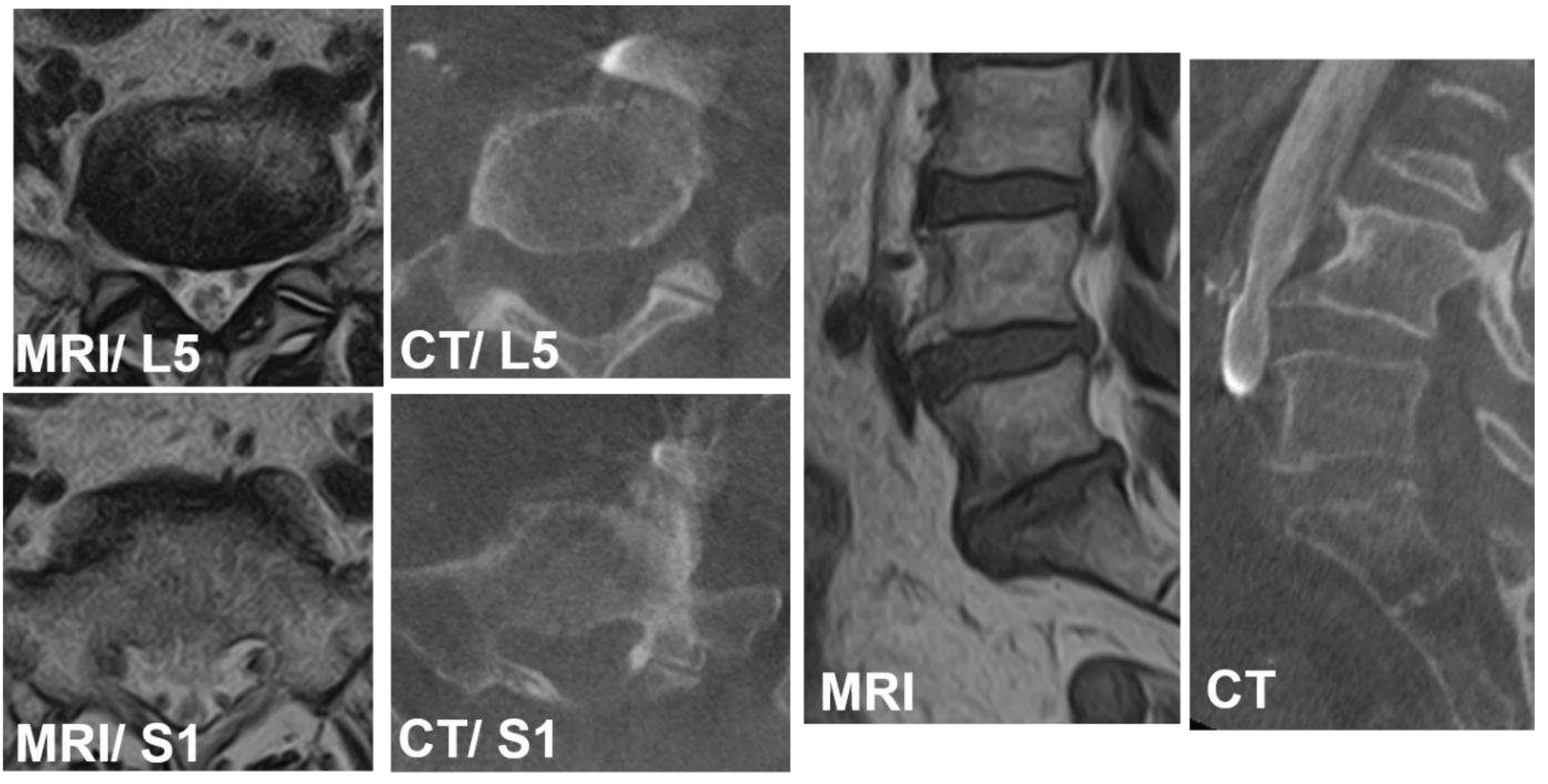 Preprints 96355 g006