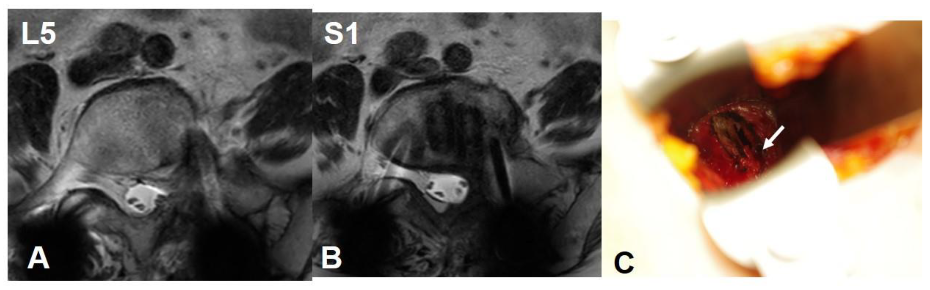 Preprints 96355 g007
