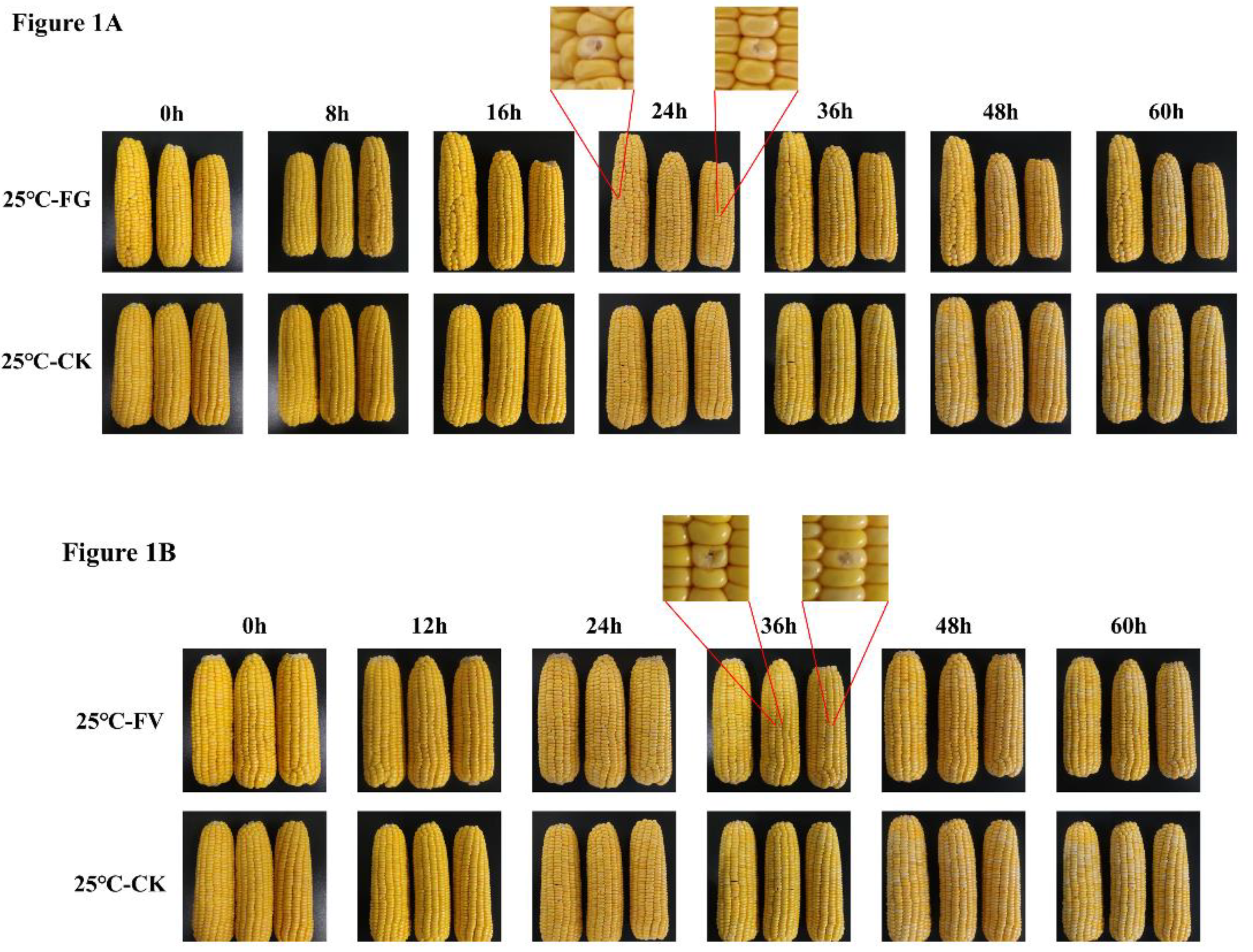 Preprints 184183 g001