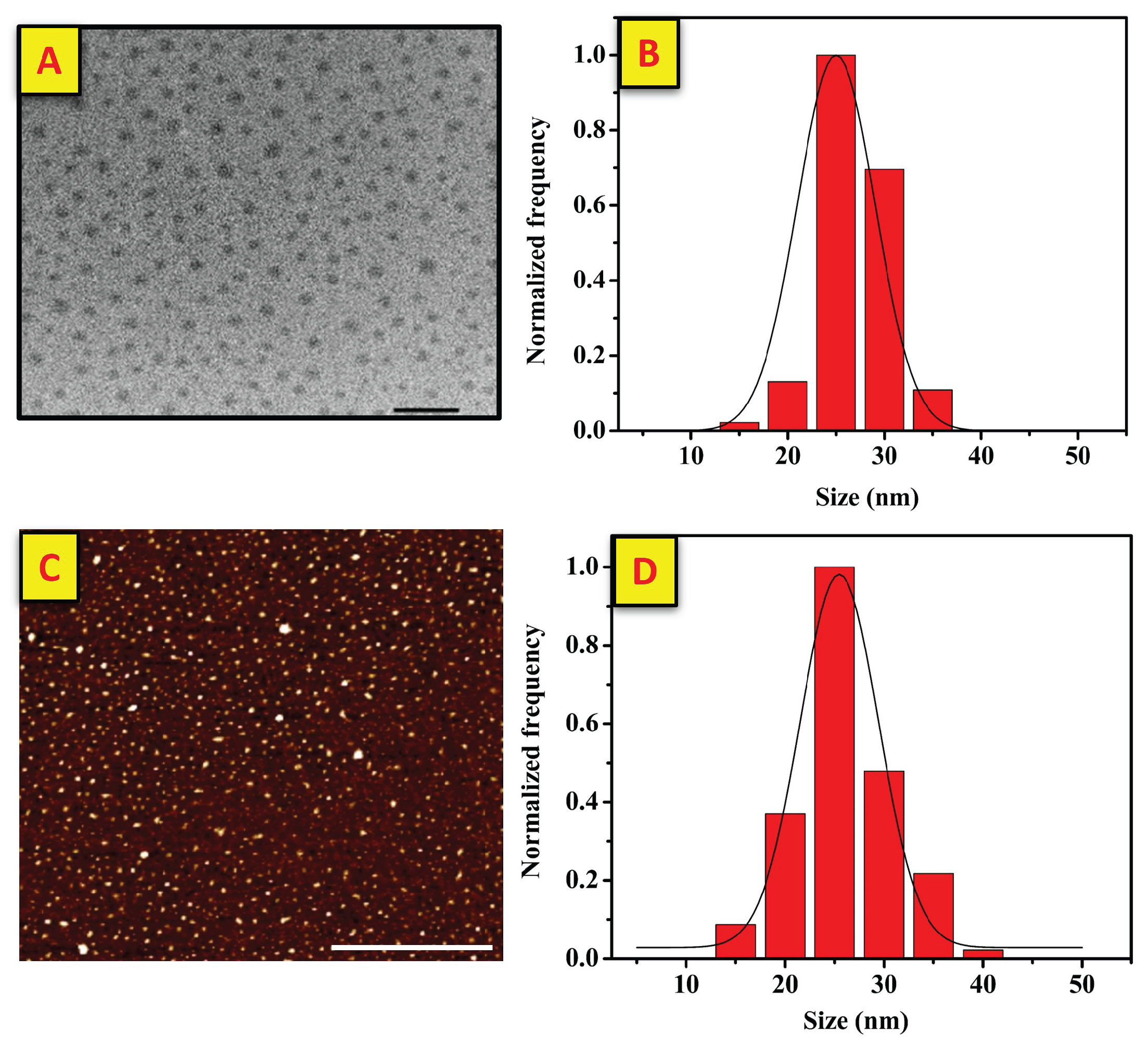 Preprints 169891 g003