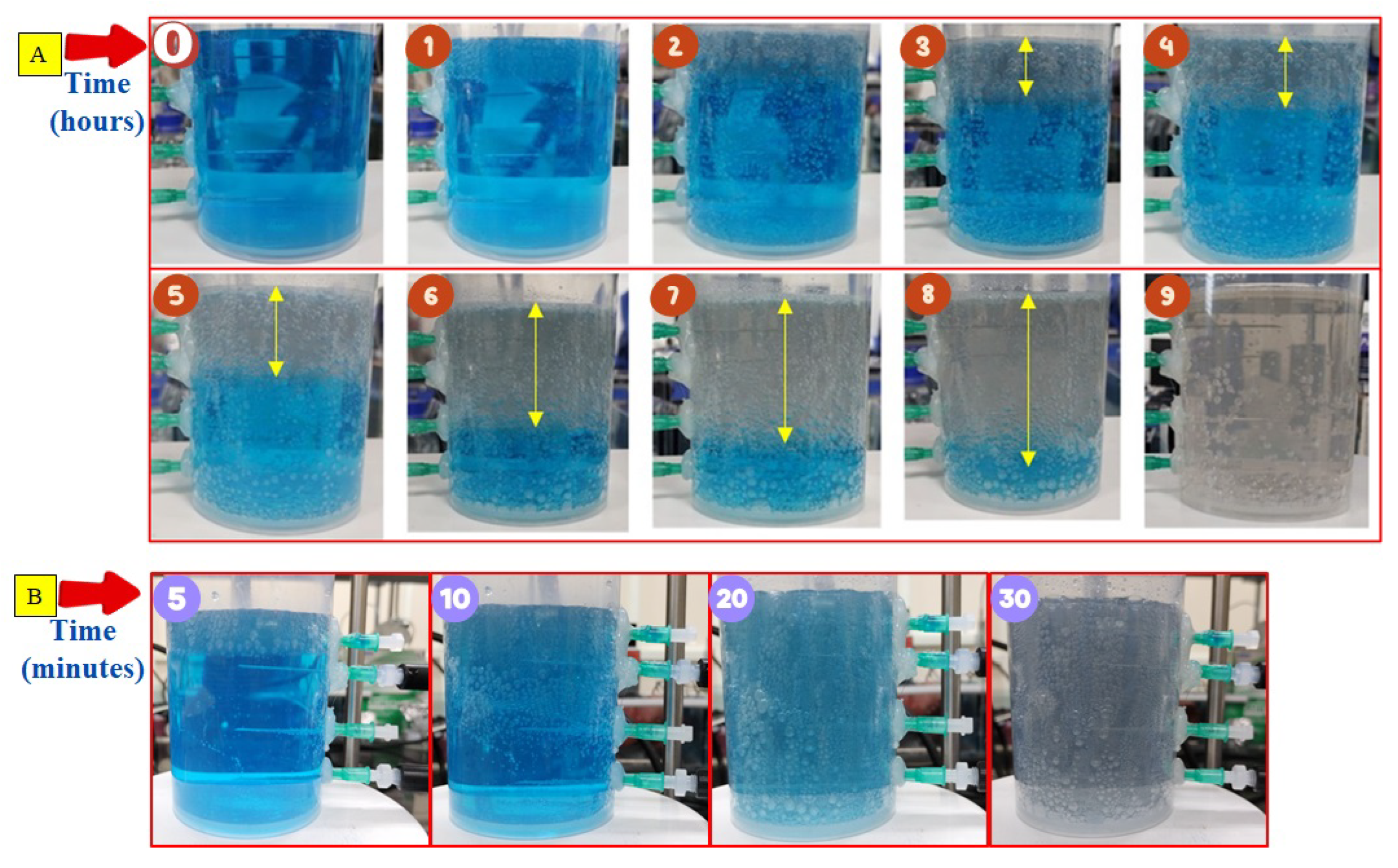 Preprints 169891 g007
