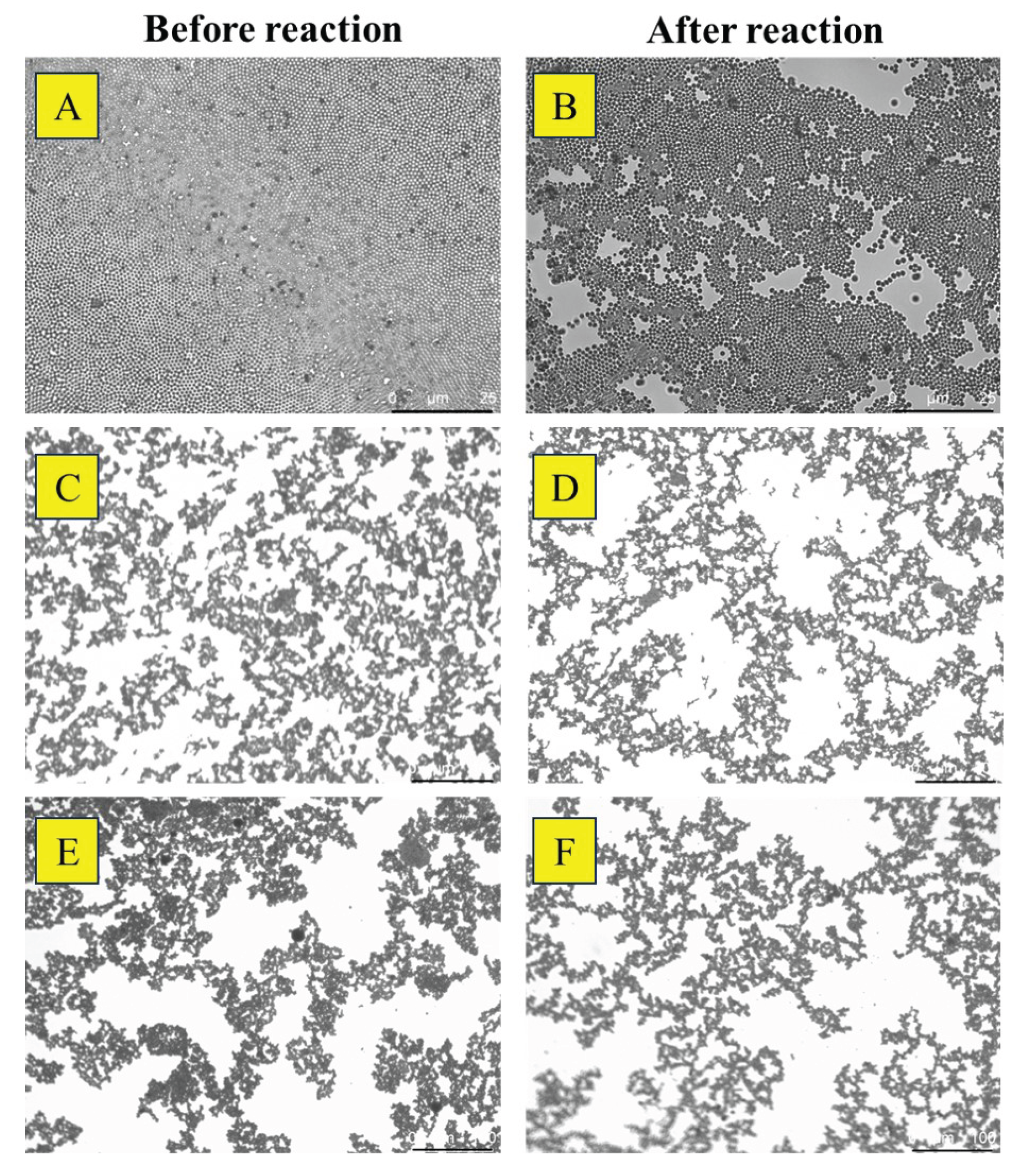 Preprints 169891 g009