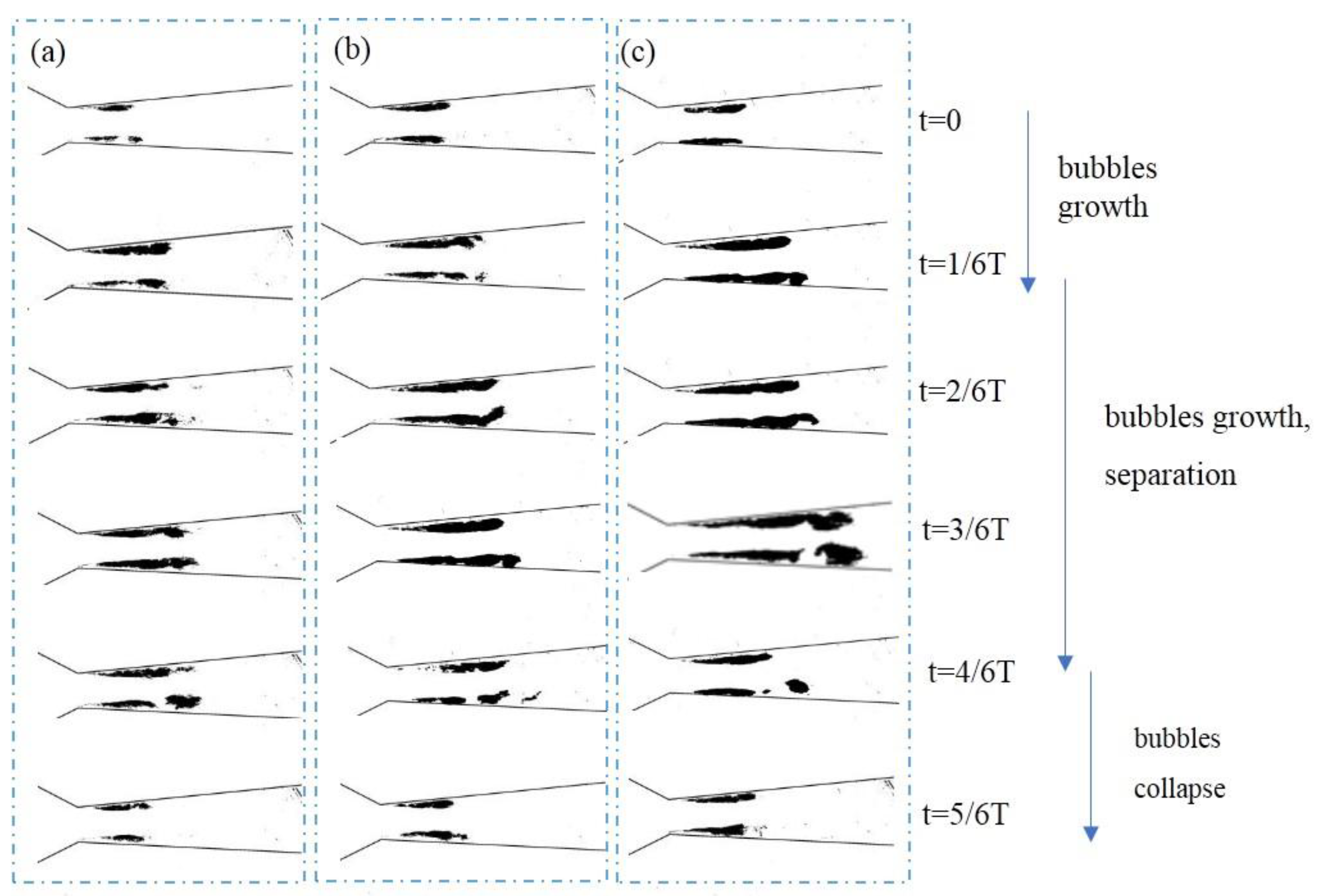 Preprints 151338 g004