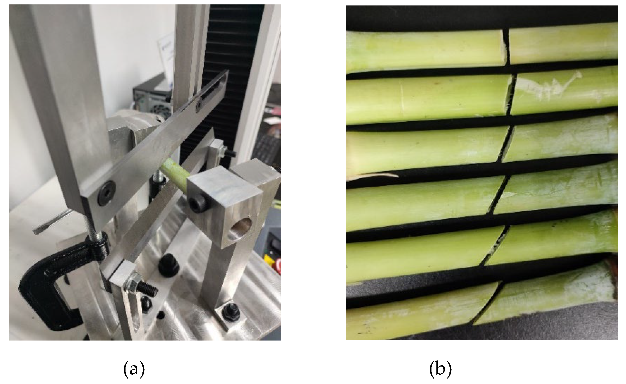Preprints 108940 g011