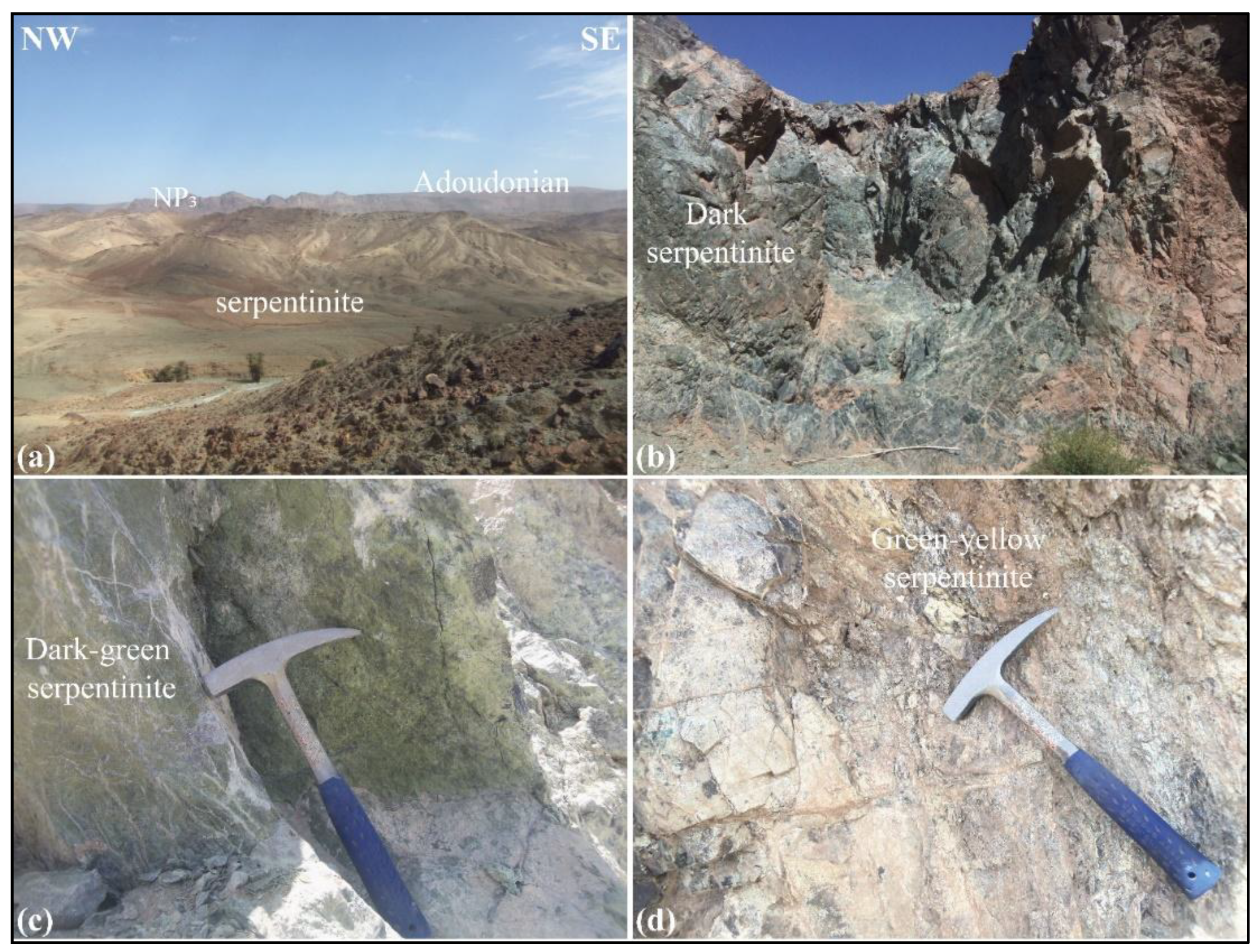 Preprints 179916 g003