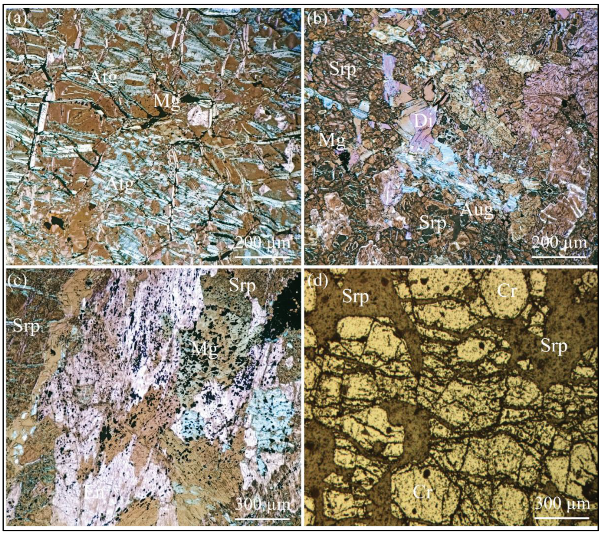 Preprints 179916 g004