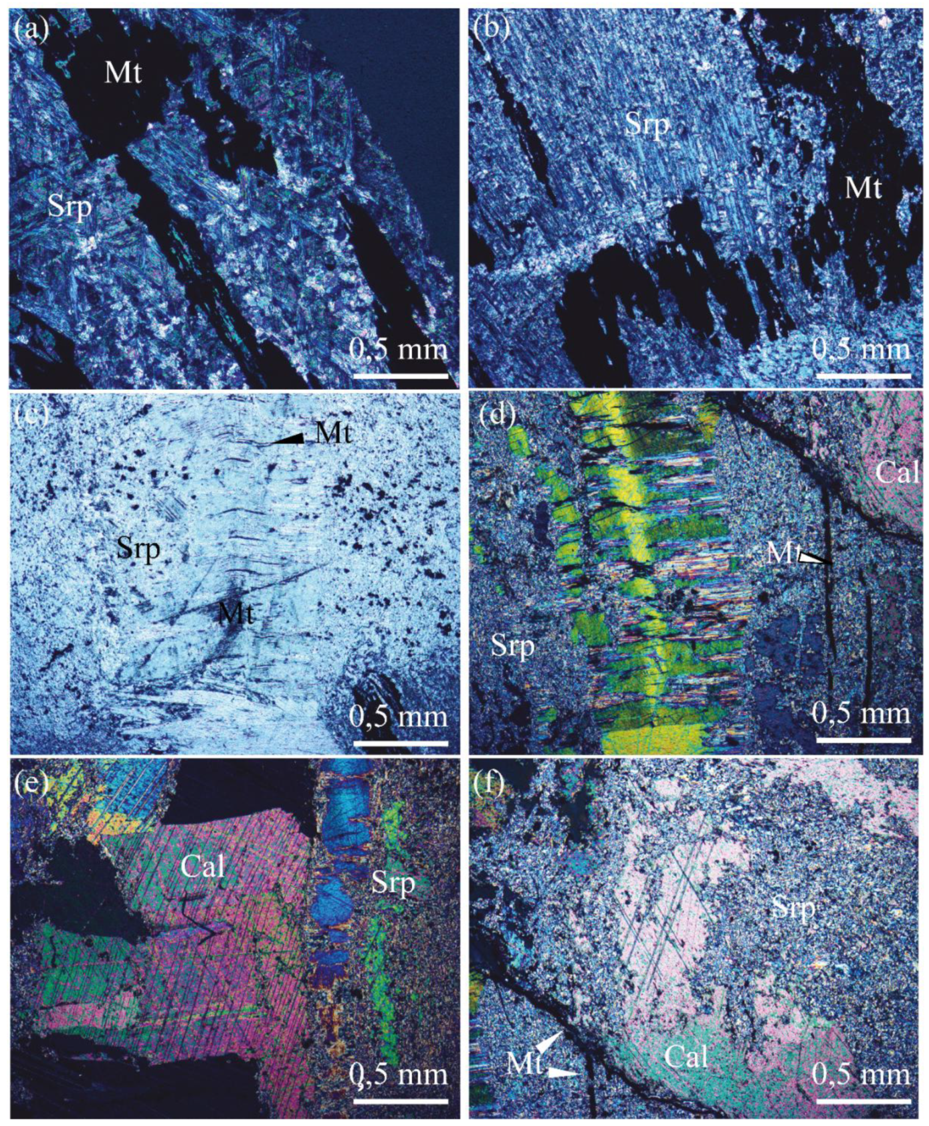 Preprints 179916 g005