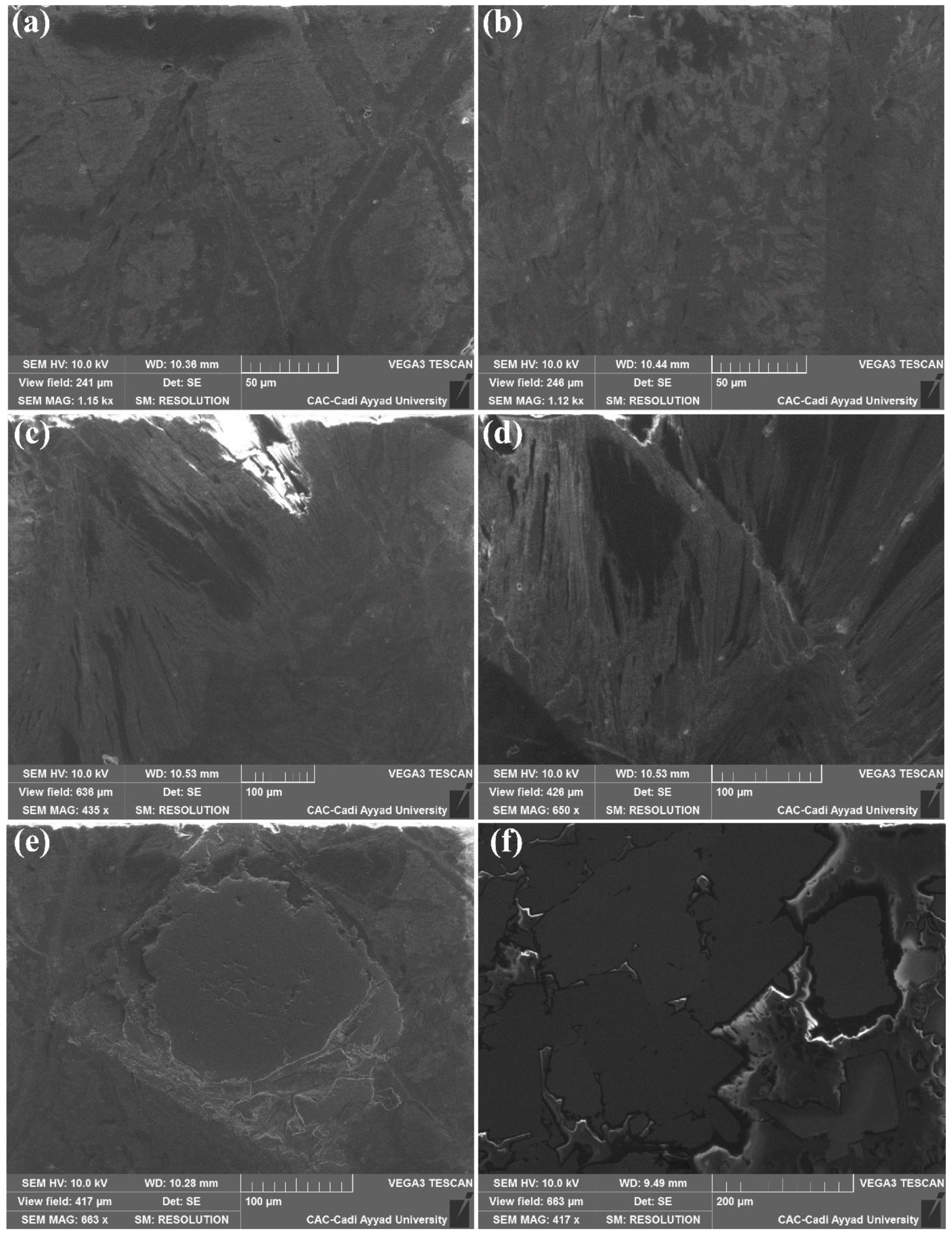 Preprints 179916 g006