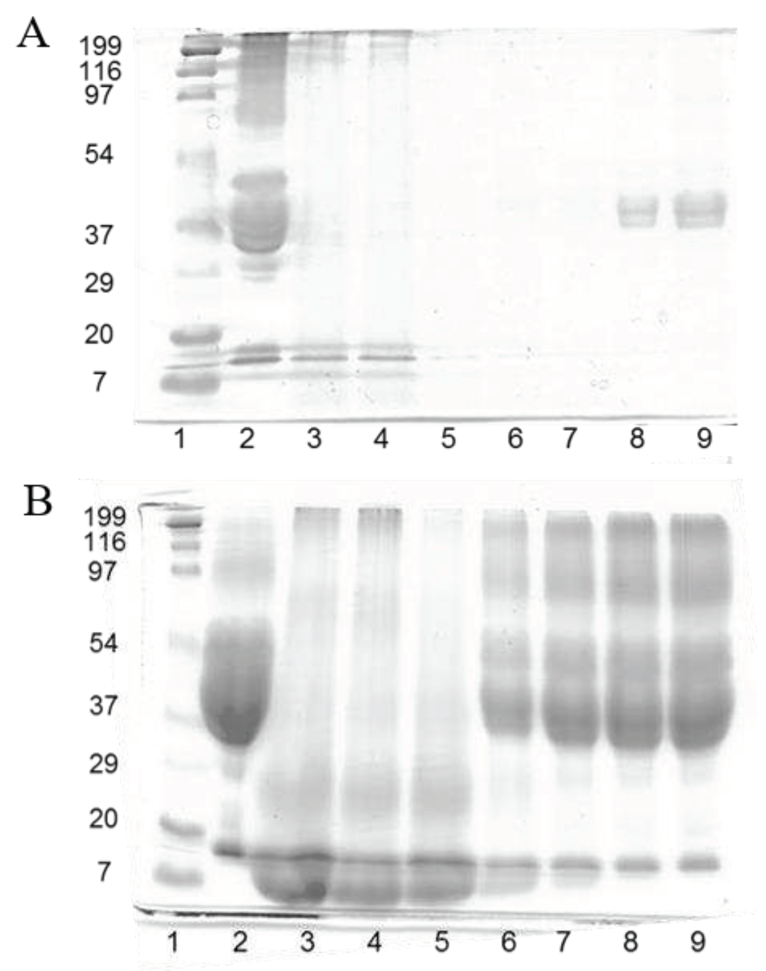 Preprints 86864 g001