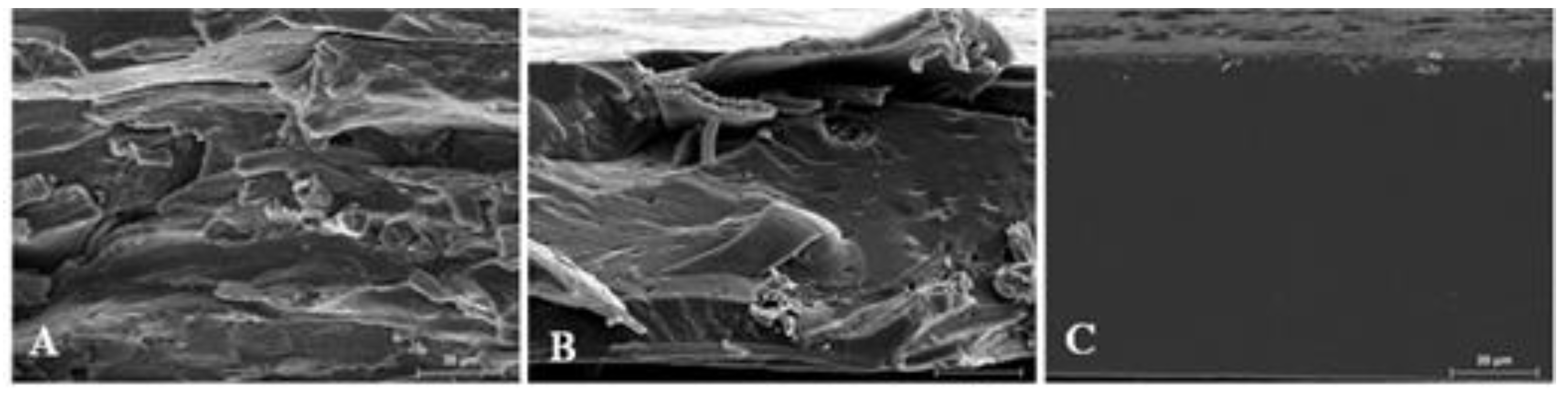 Preprints 86864 g002