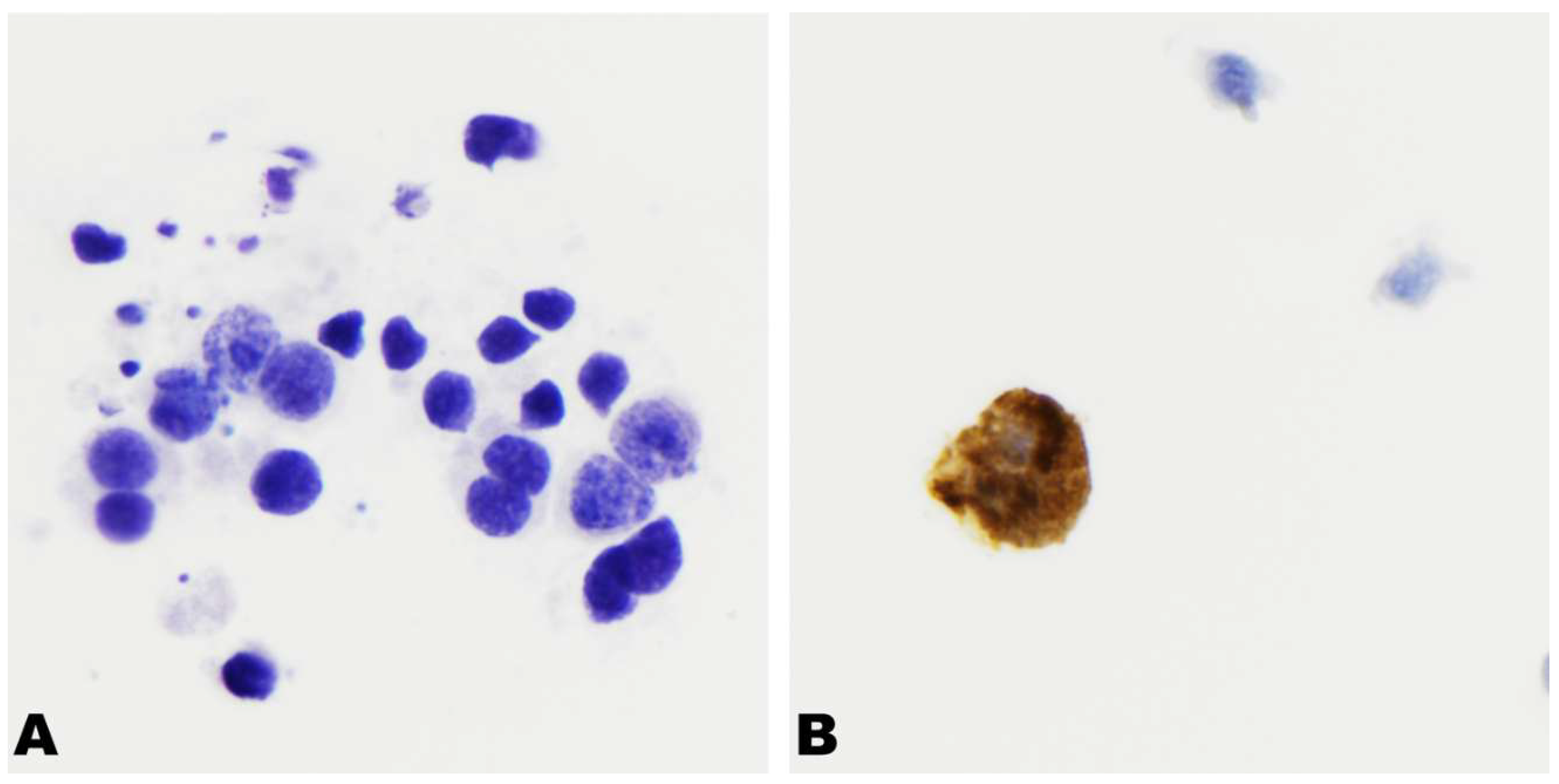 Preprints 231161 g006 Preprints 231161 g006
