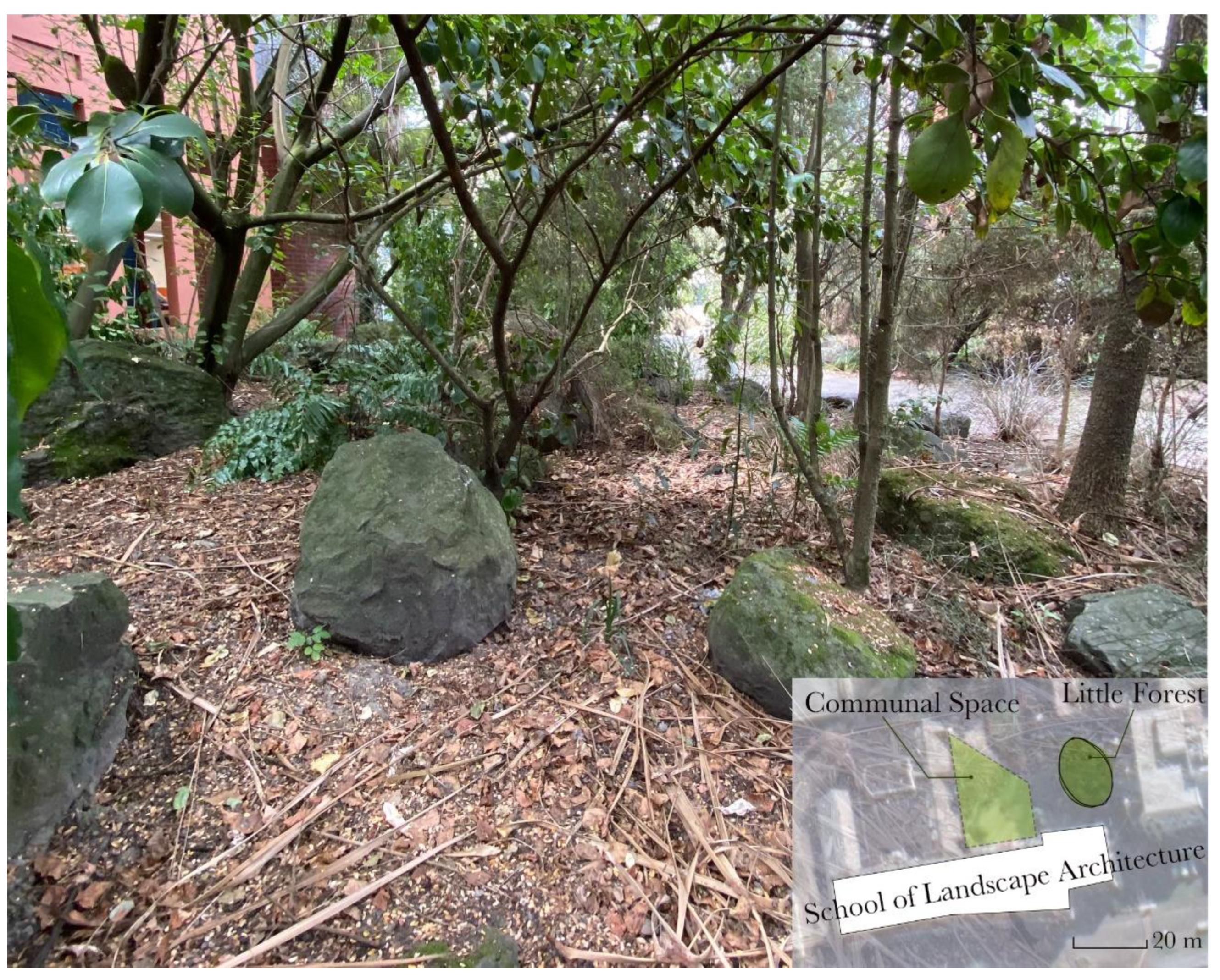 Preprints 142401 g011