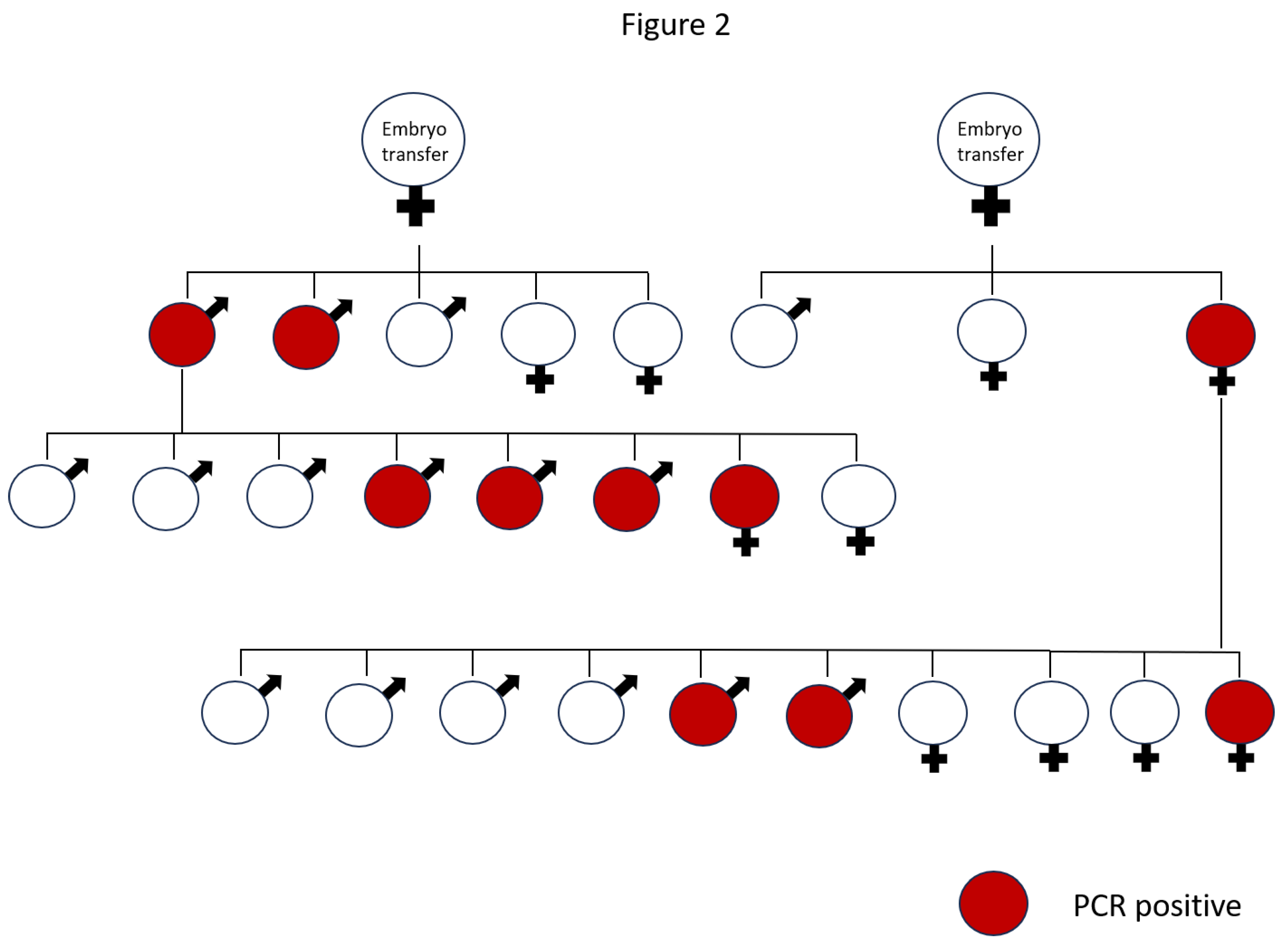 Preprints 145208 g002