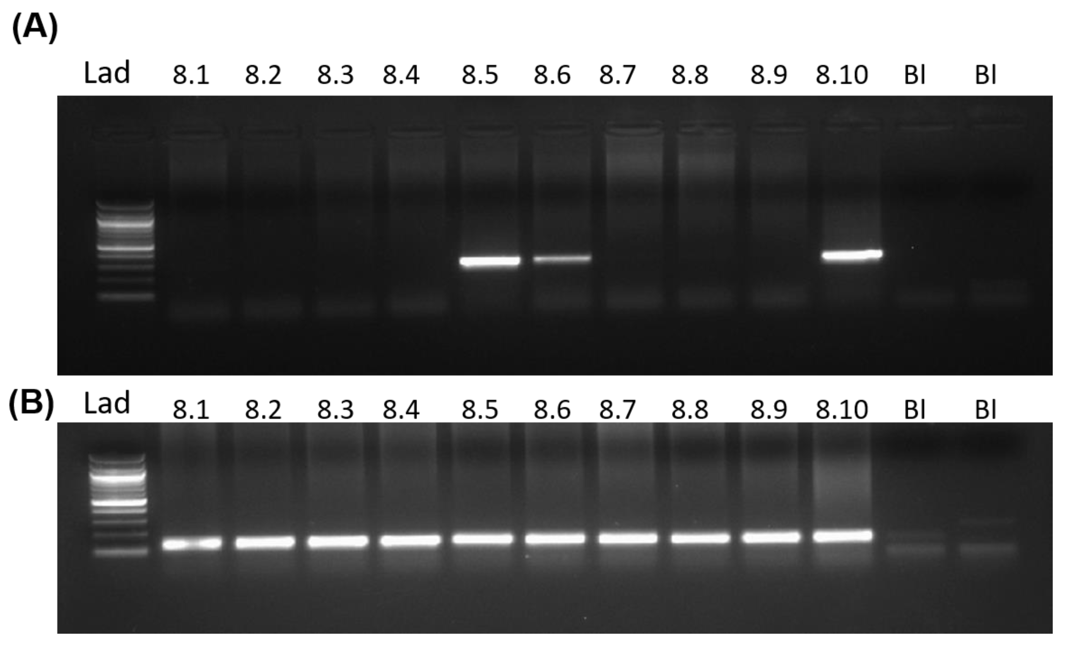 Preprints 145208 g003