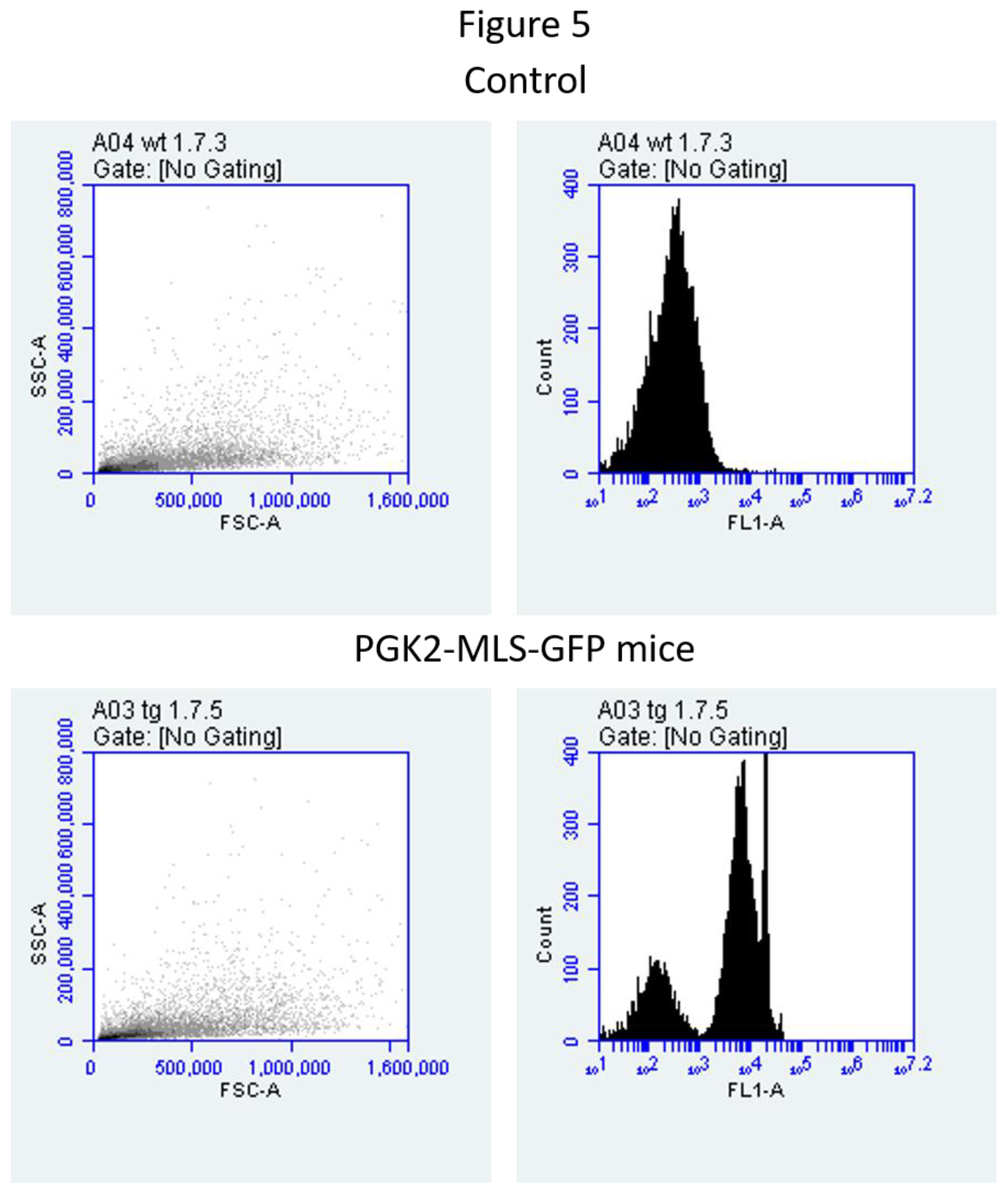 Preprints 145208 g005