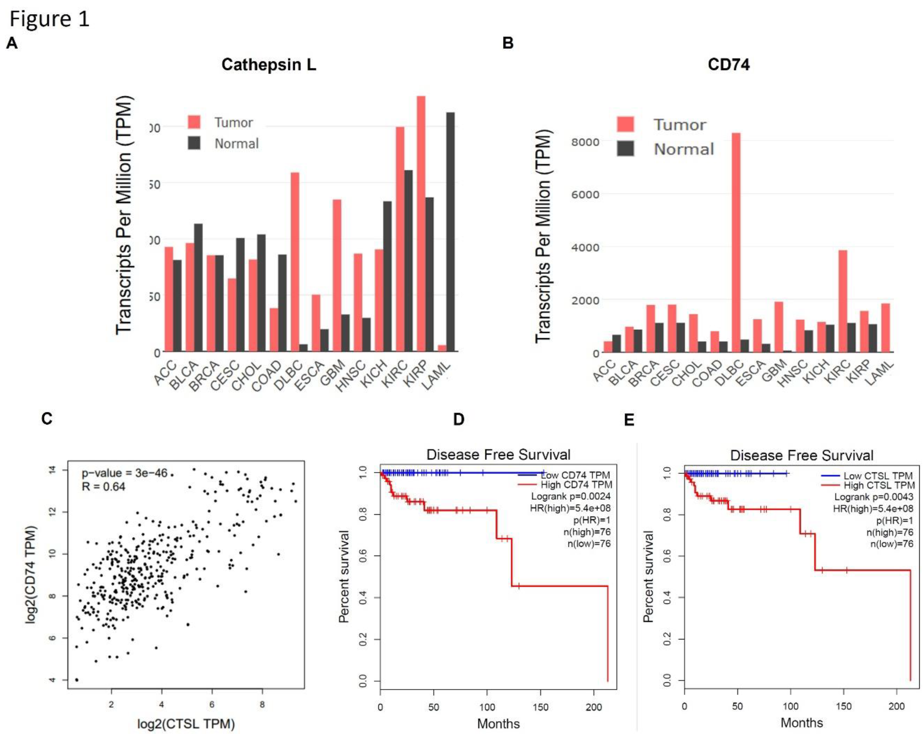 Preprints 189063 g001