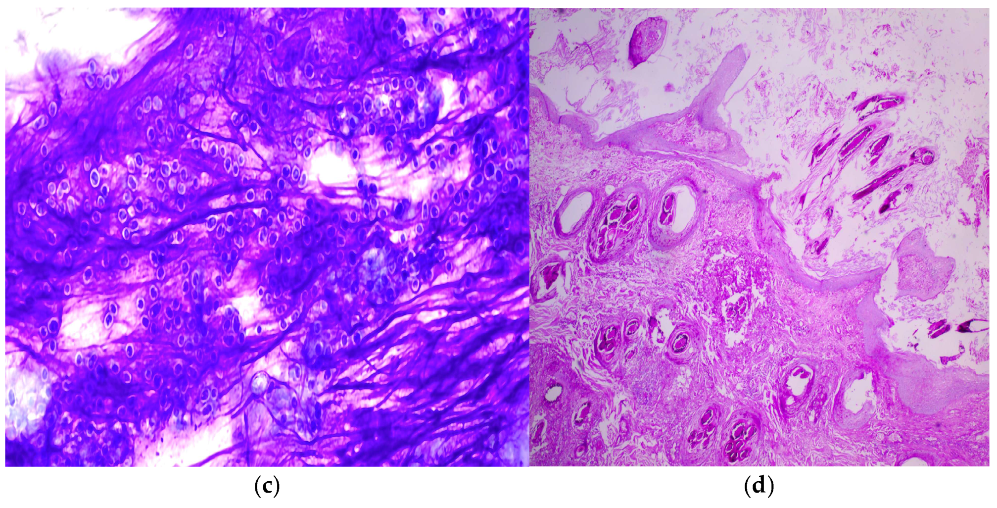 Preprints 196629 g002