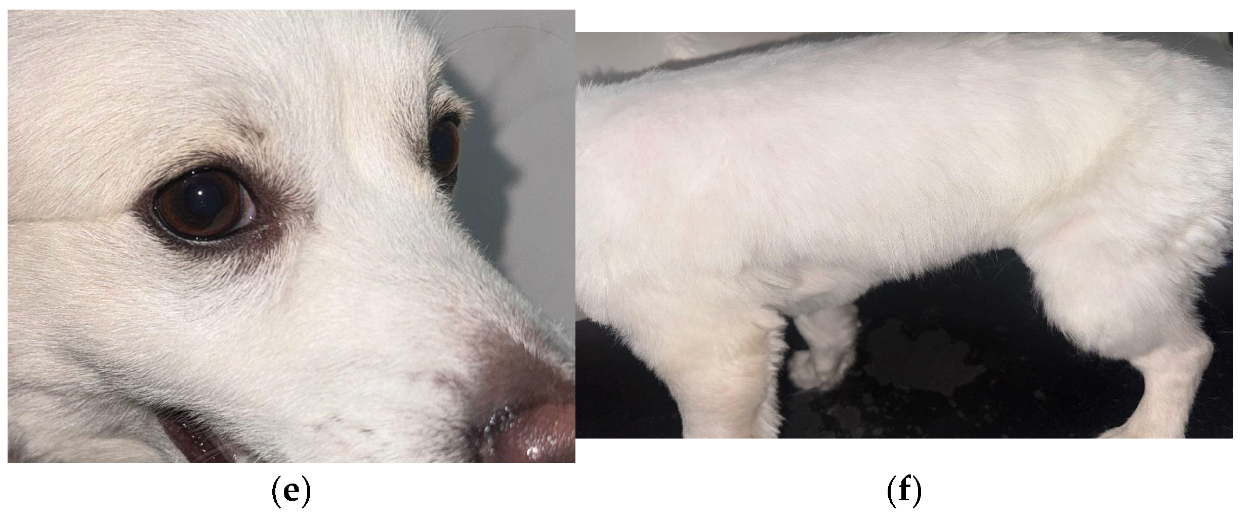 Preprints 196629 g003