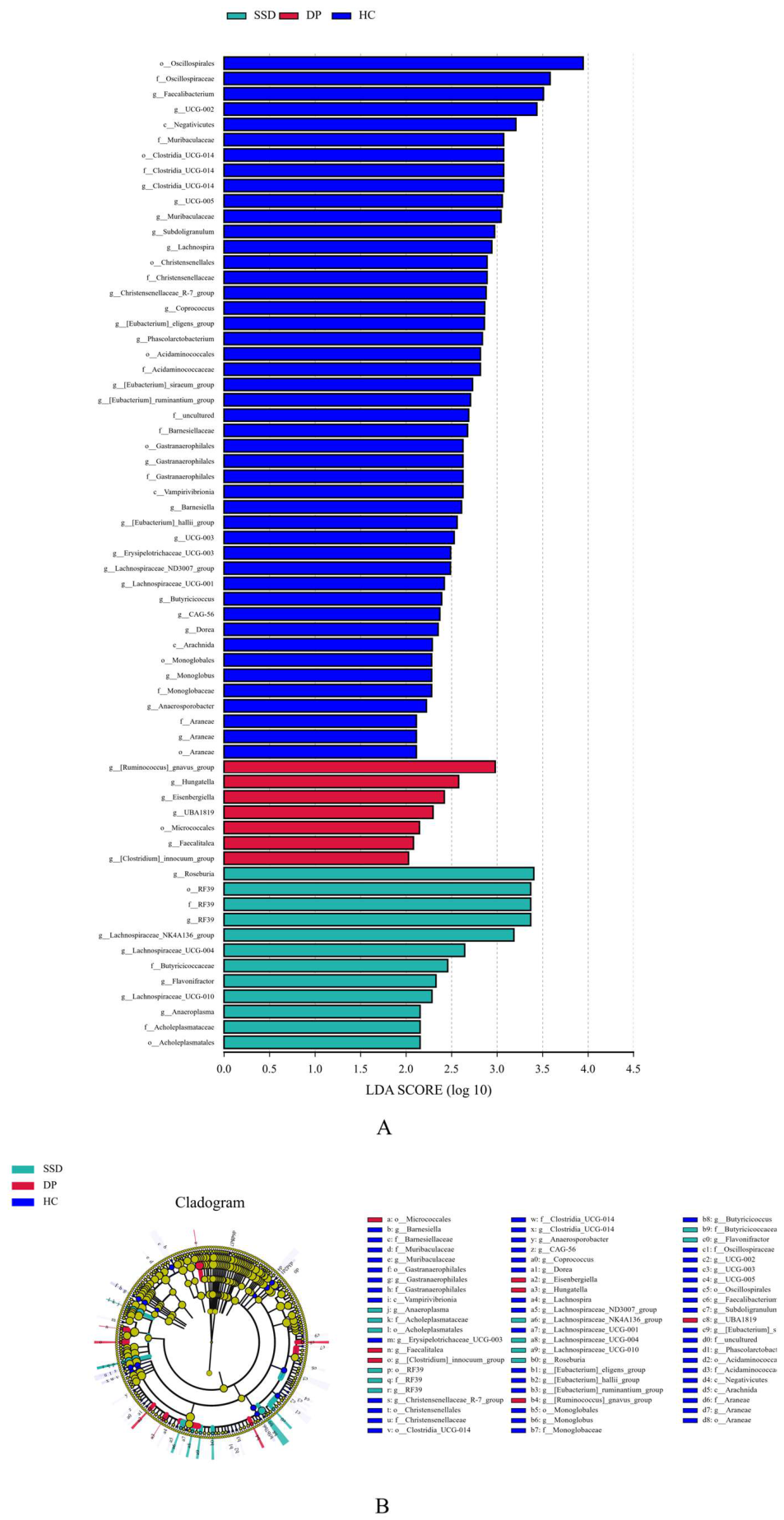 Preprints 236028 g004