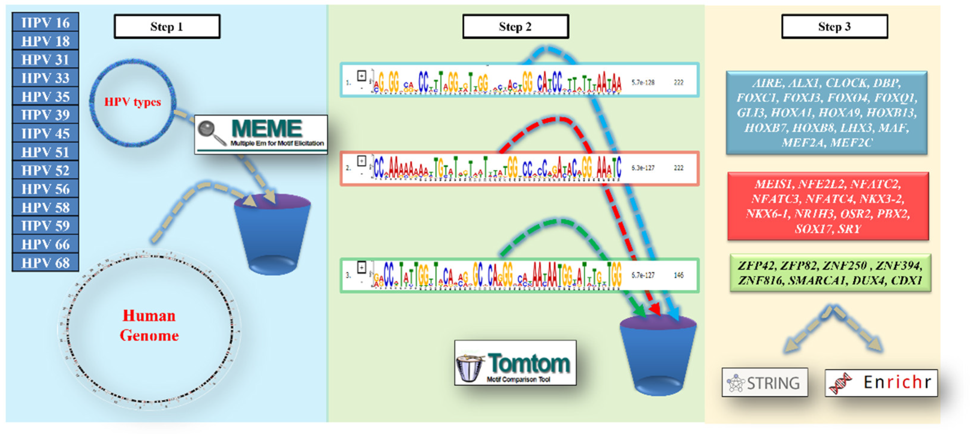 Preprints 162561 g001