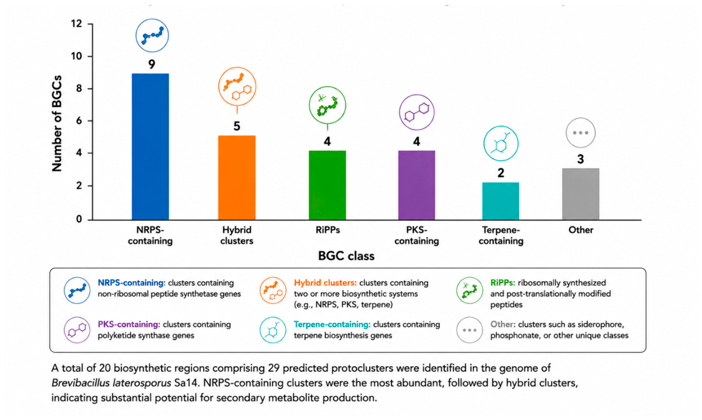 Preprints 216397 g001